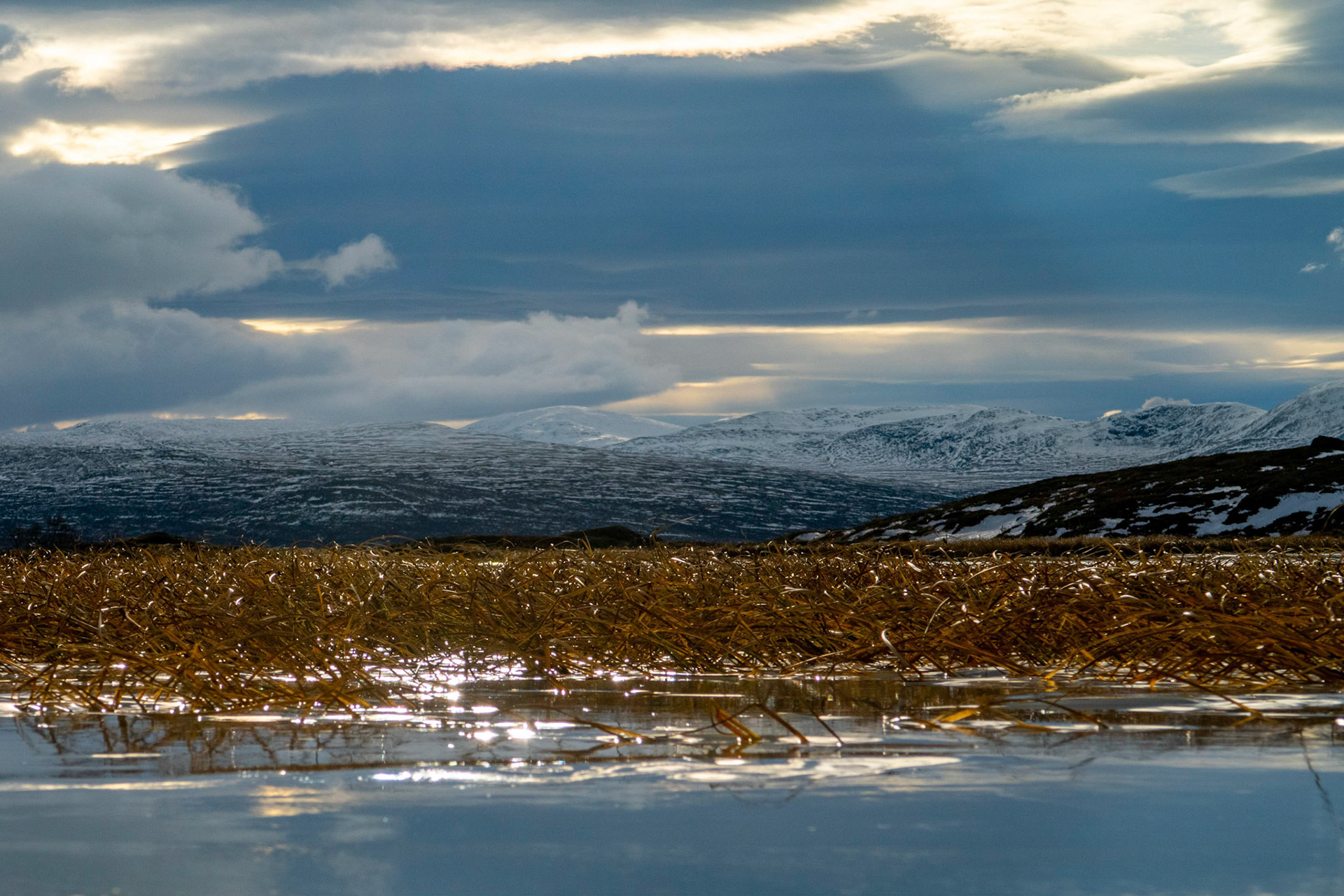 Mot Sissihø fra Kvernbekktjønna på Vora i Oppdal