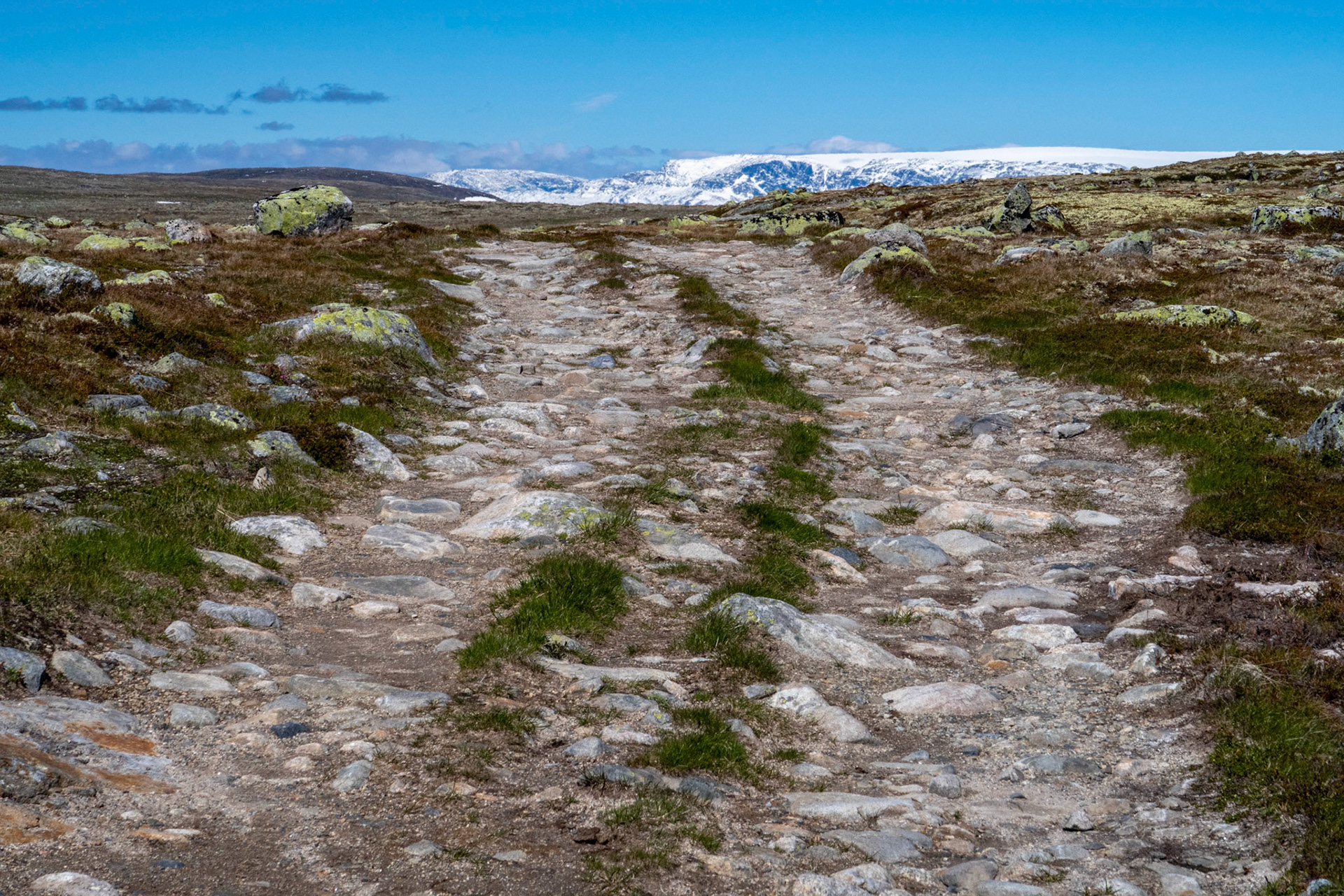 Hardangejøkulen fra Hellehalsen