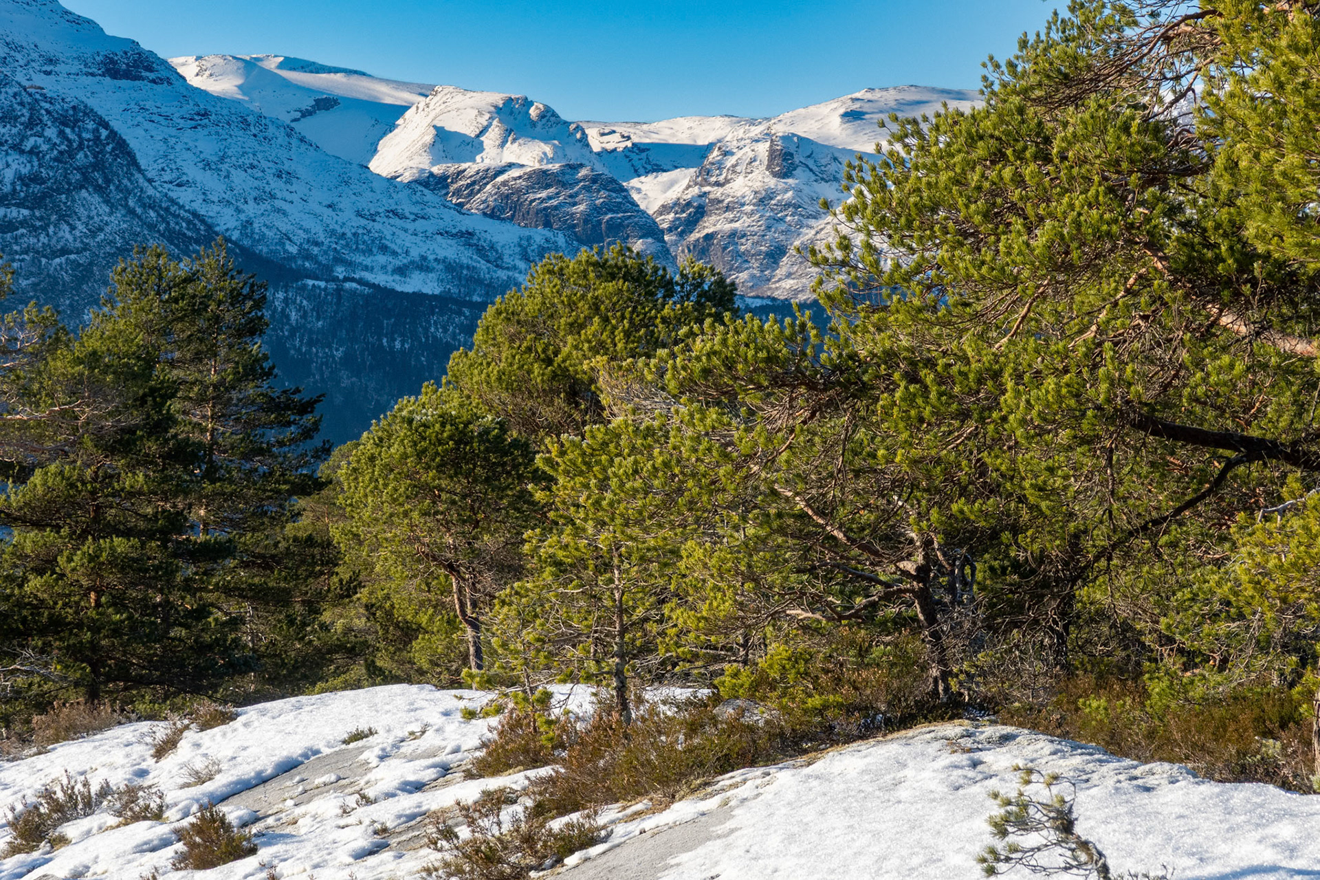 Bolberget mot Skjerdalen