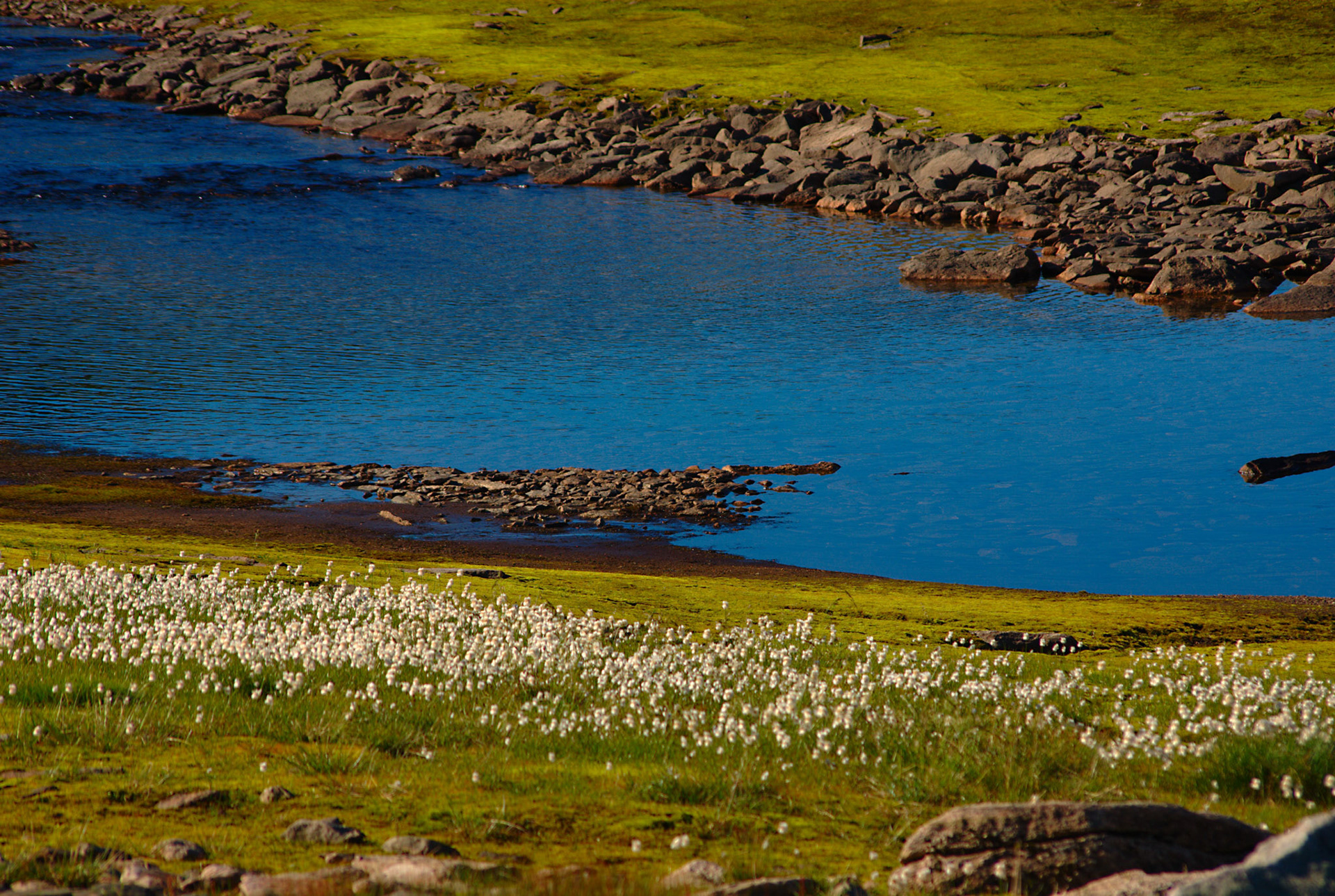 Sognefjellet