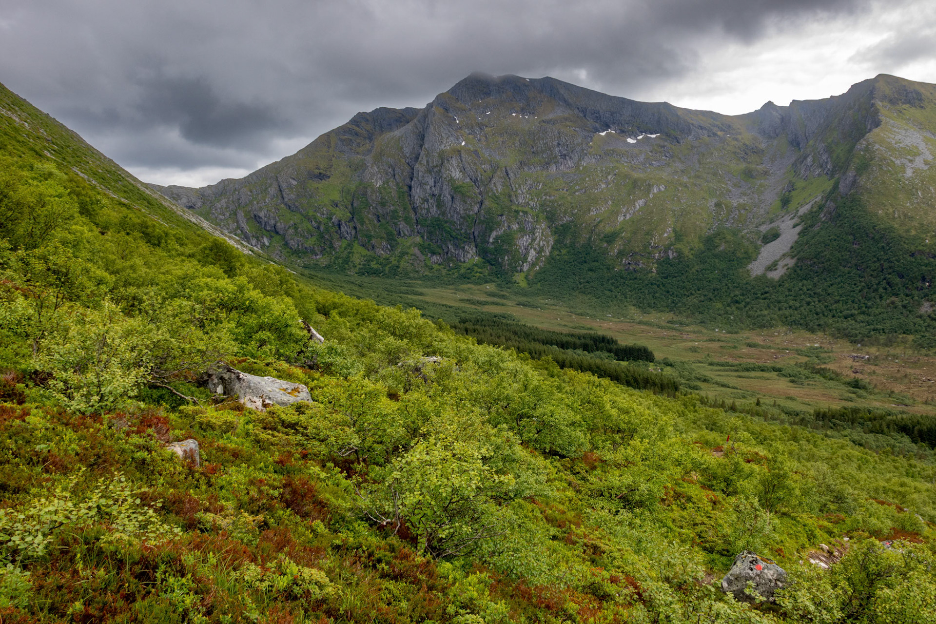 Gullsteindalen på Tustna