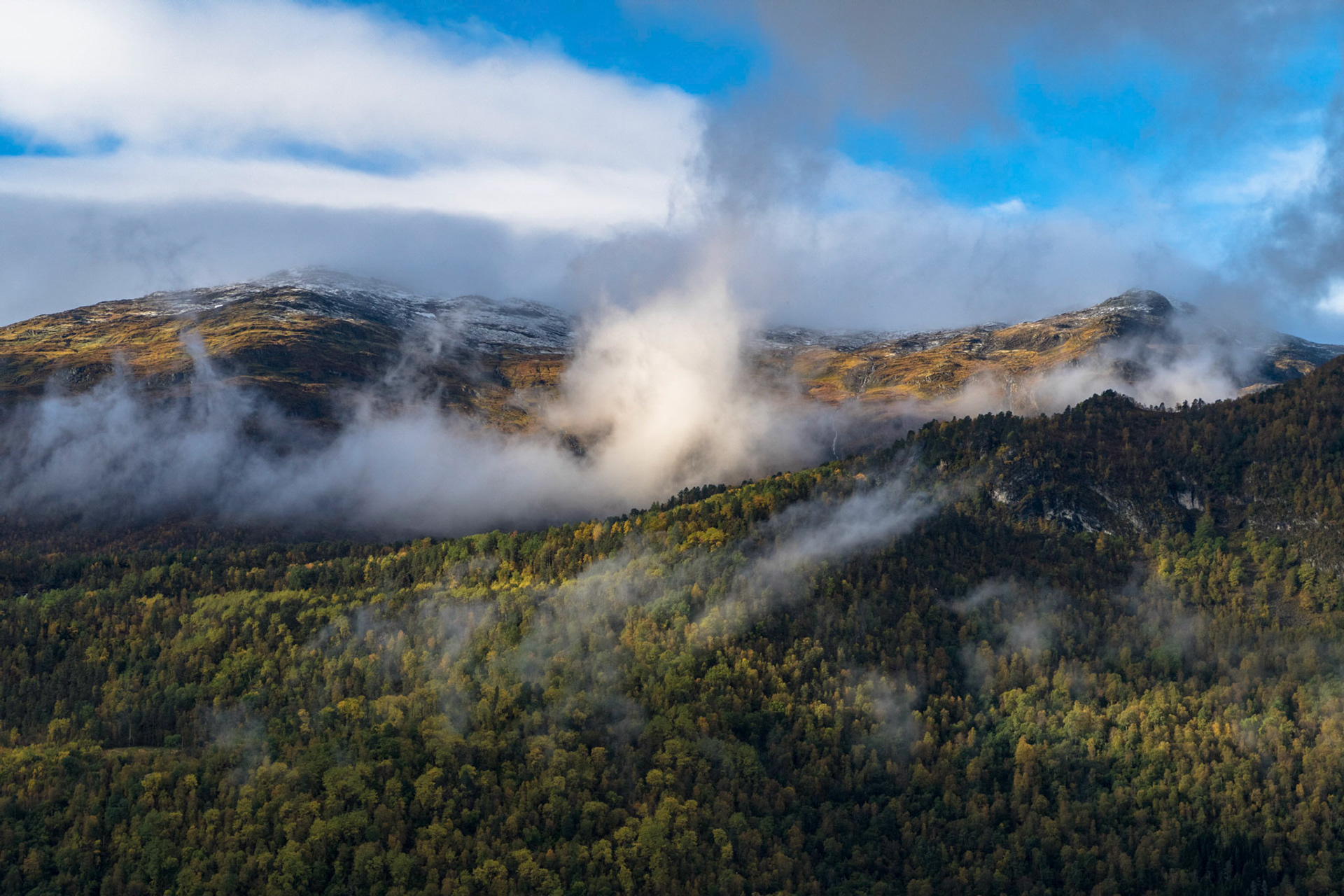 Reinekallen i Gloppen
