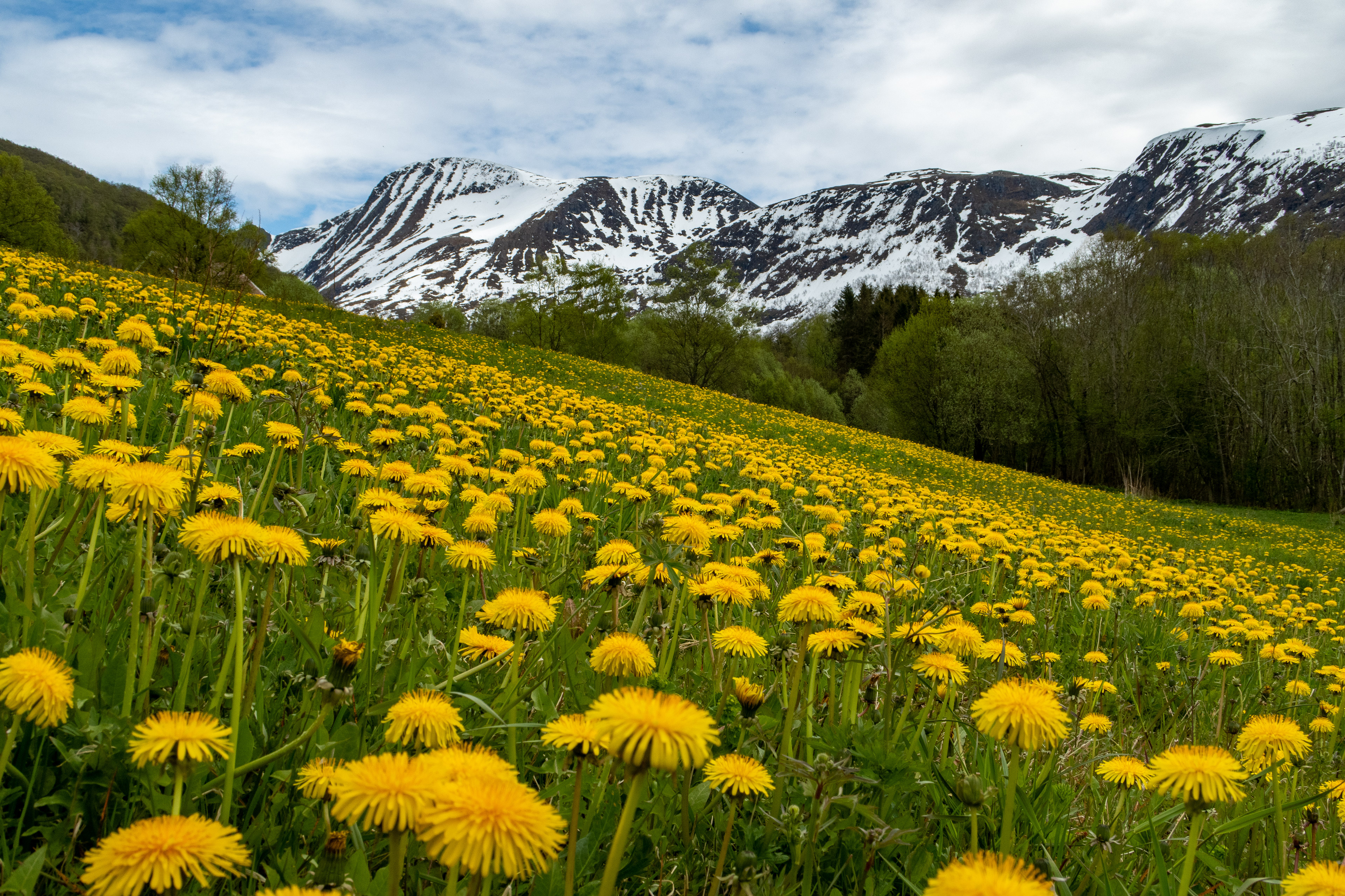 Birkeland mot Kaldbaken (Urfjellet)