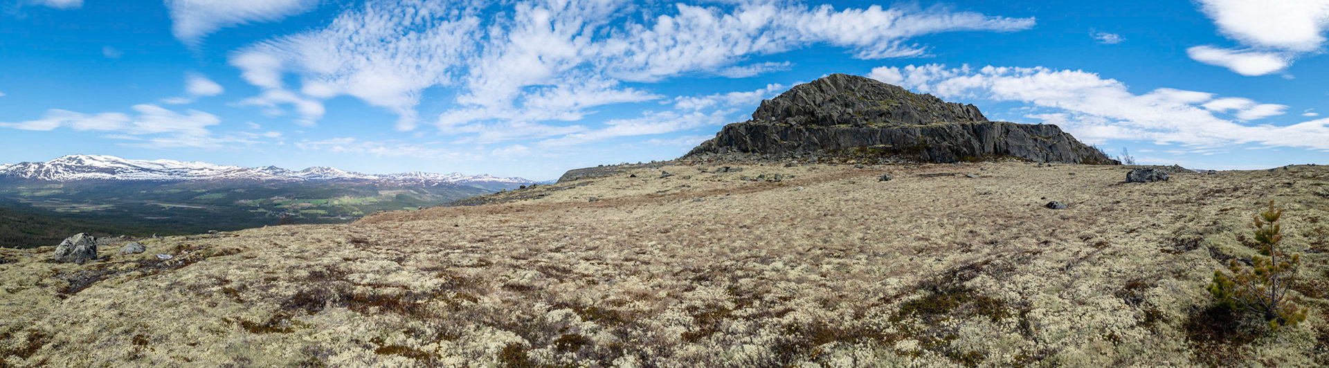 Svarthatten i Oppdal