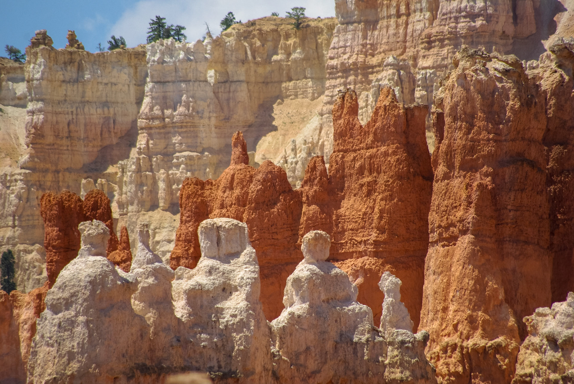 Bryce canyon