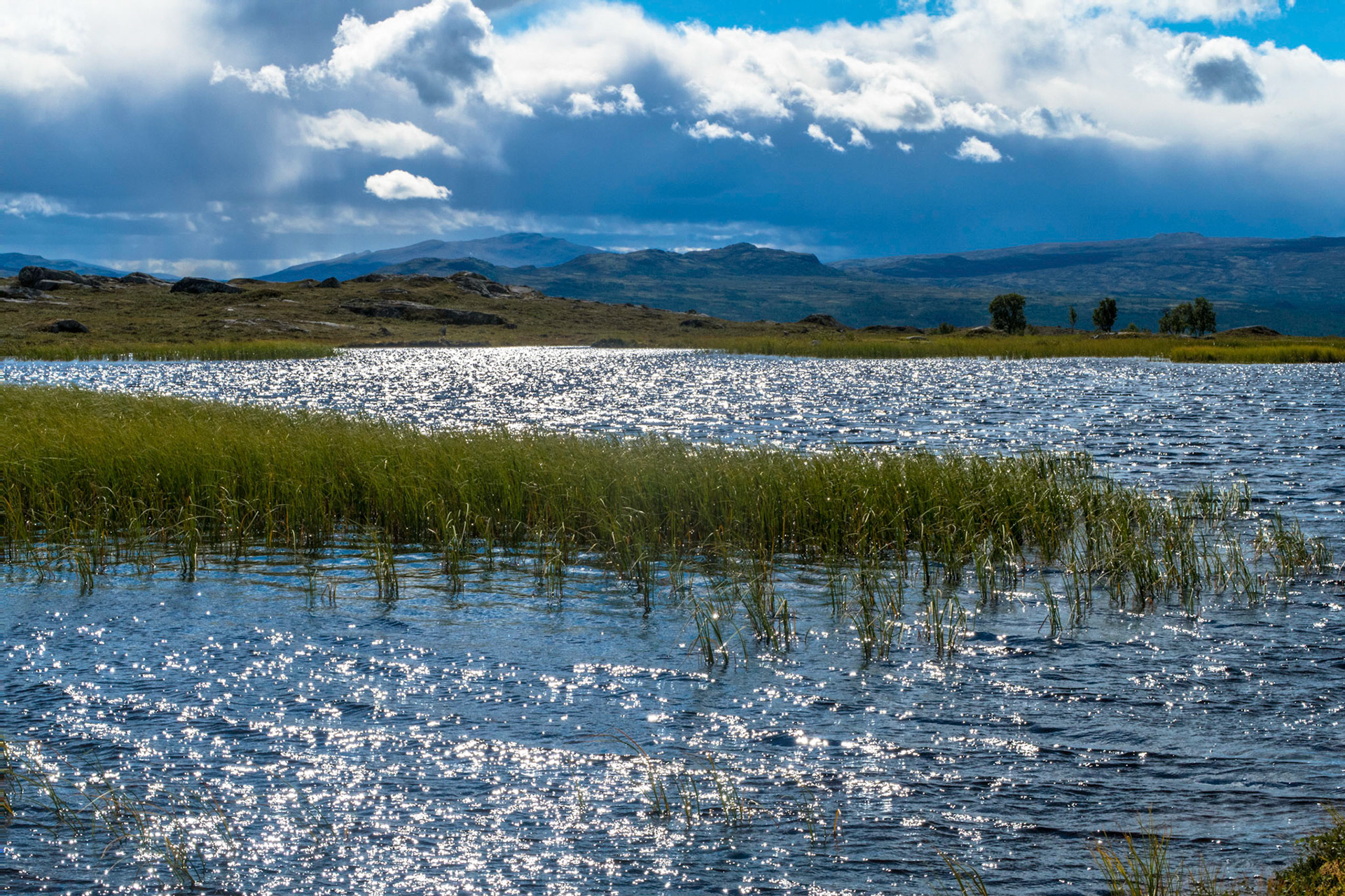Kvernbekktjønna på Vora