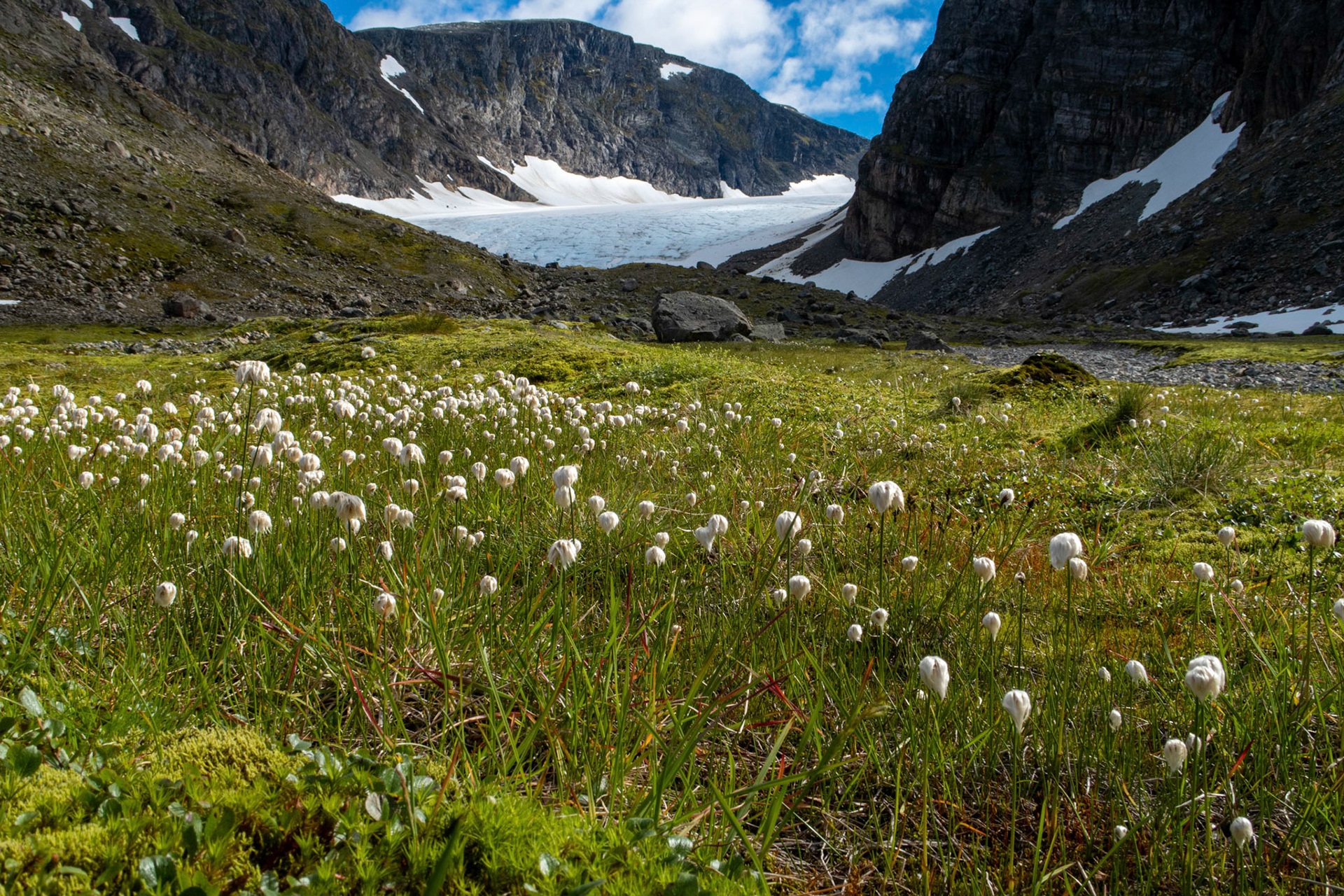Sørsendalsbreen i Gloppen