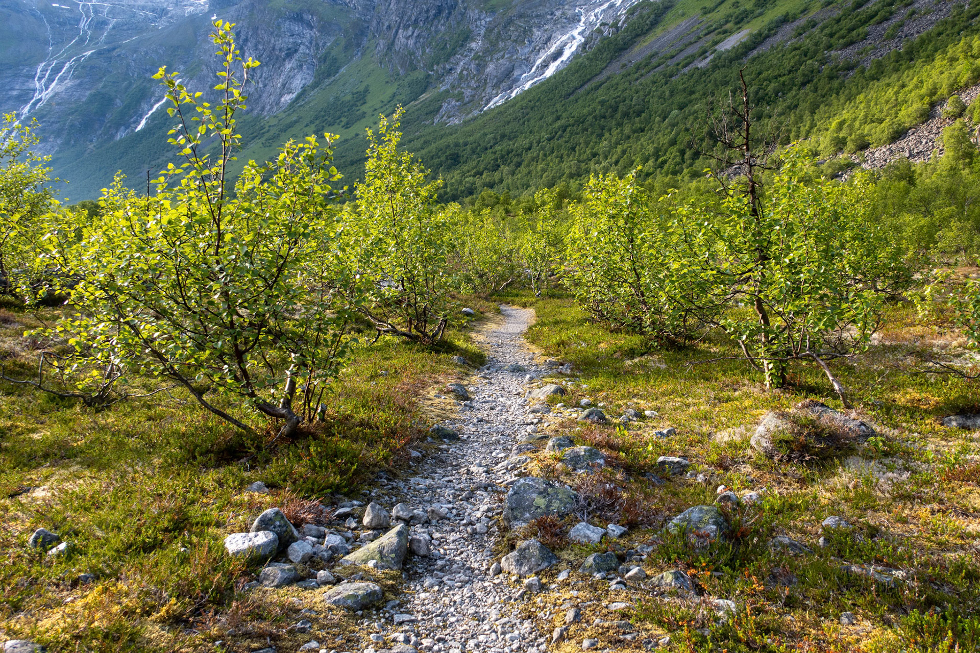 Bødalen