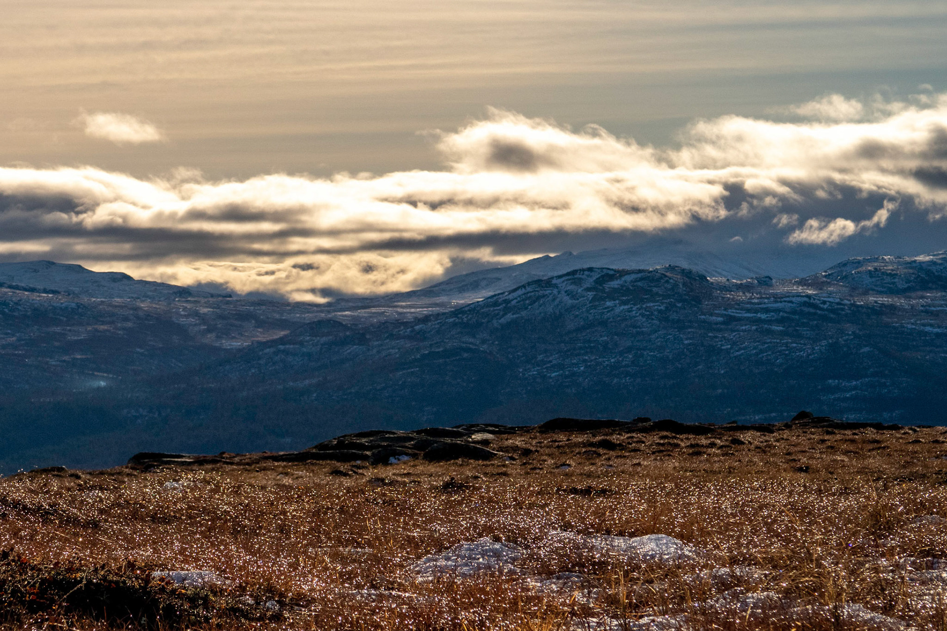 Stororkelhøa i Oppdal