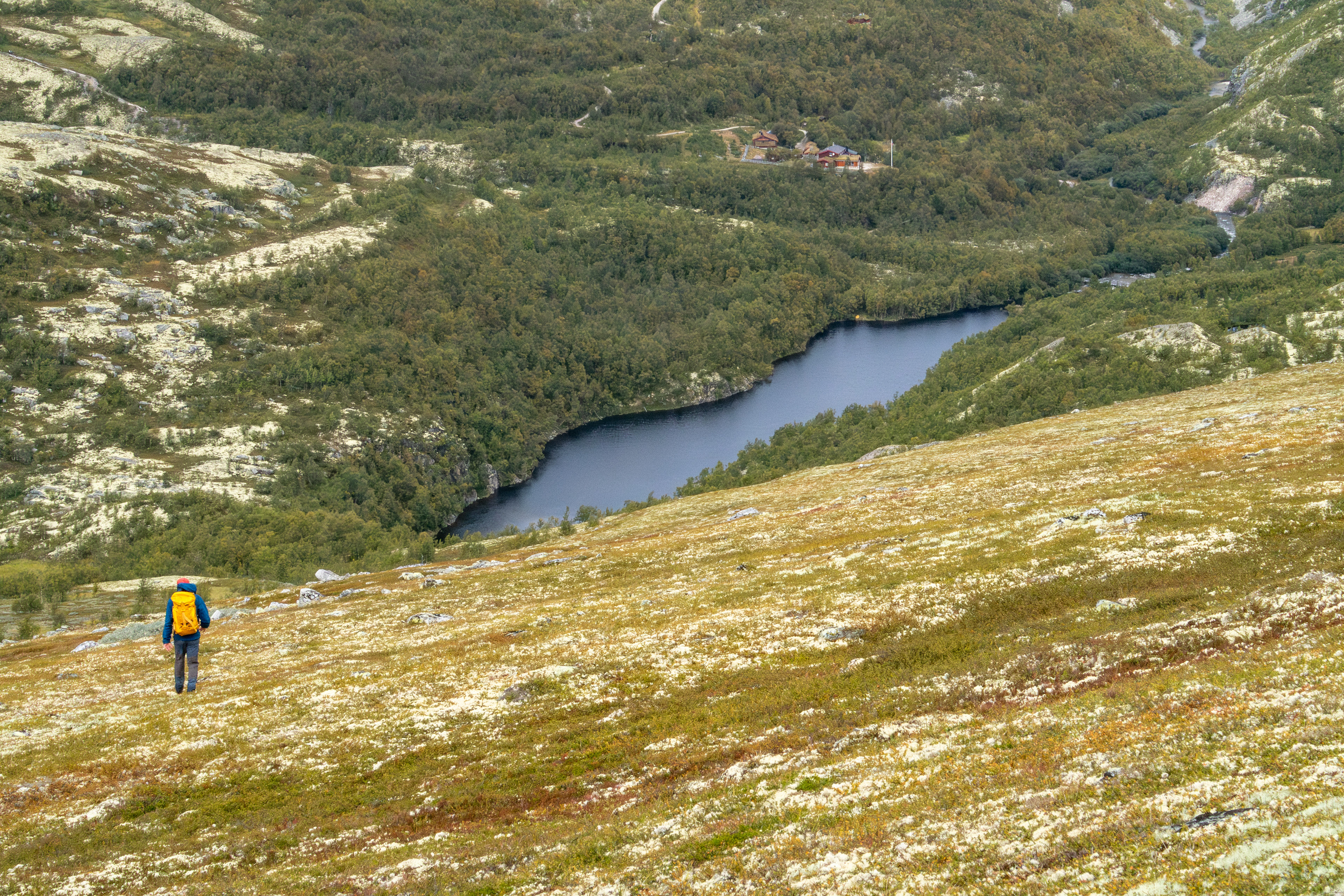Bergetjønna og Bjørnhollia