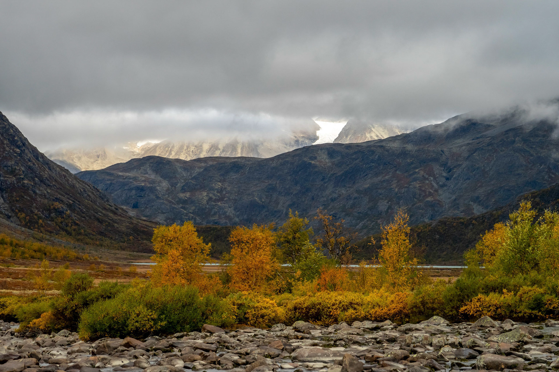 Surtningsue fra Leirdalen i Jotunheimen