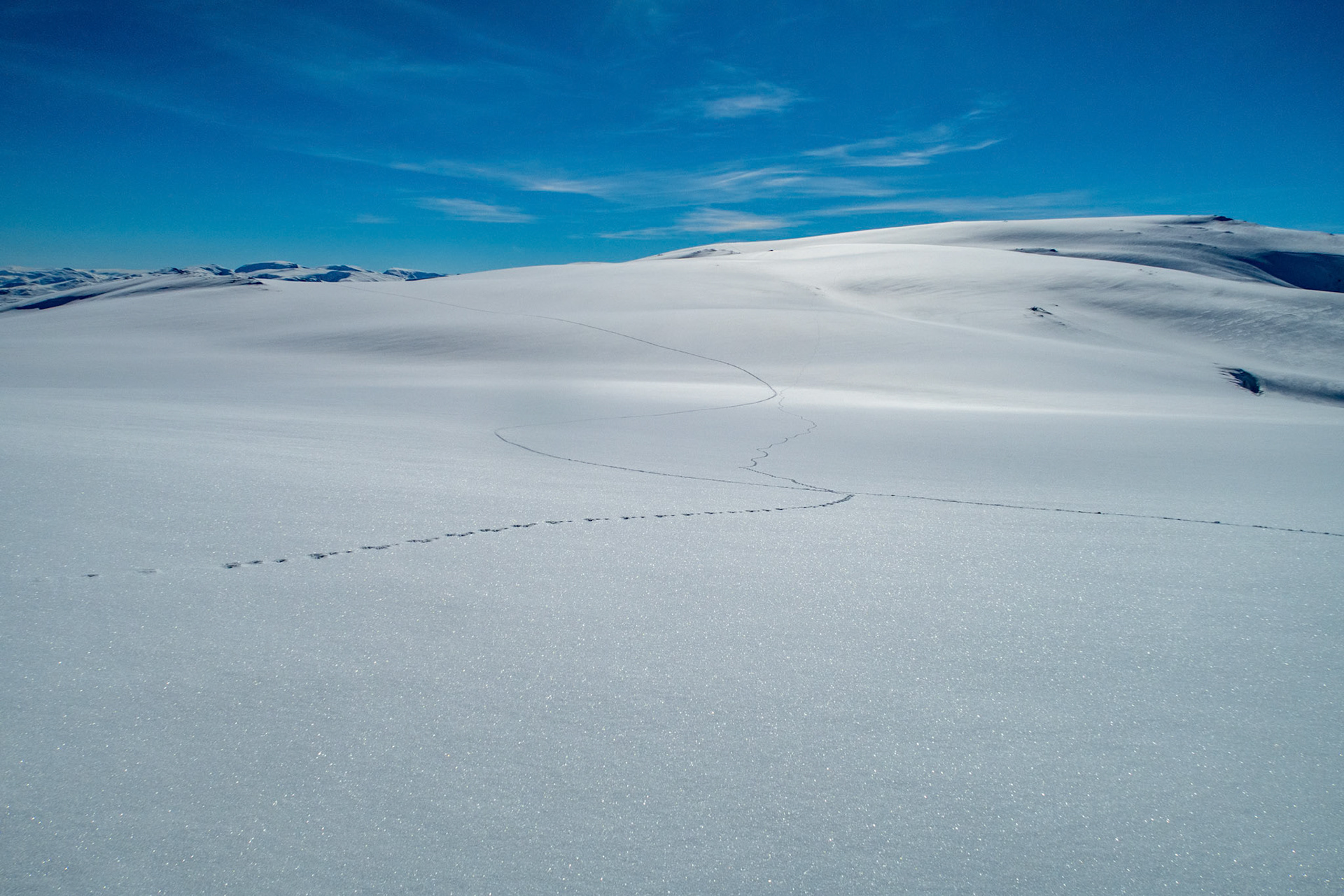 Sessegga fra Osmundnesskaret