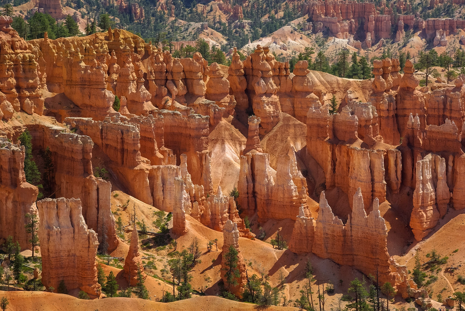 Bryce canyon