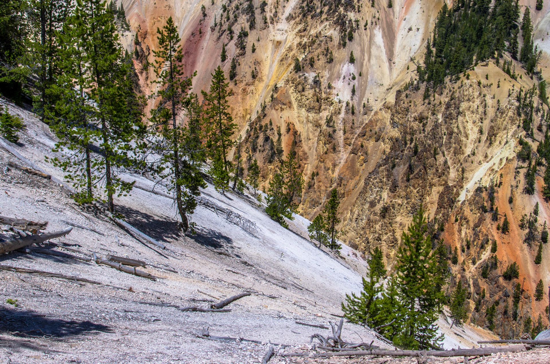 Yellowstone canyon, Wyoming, USA