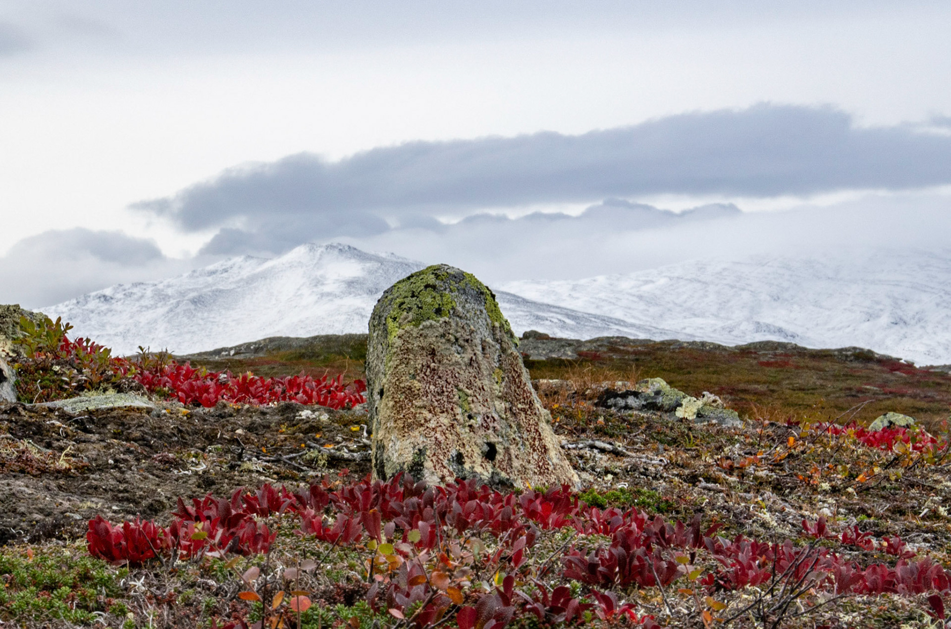 Kinnpiken fra Vora i Oppdal