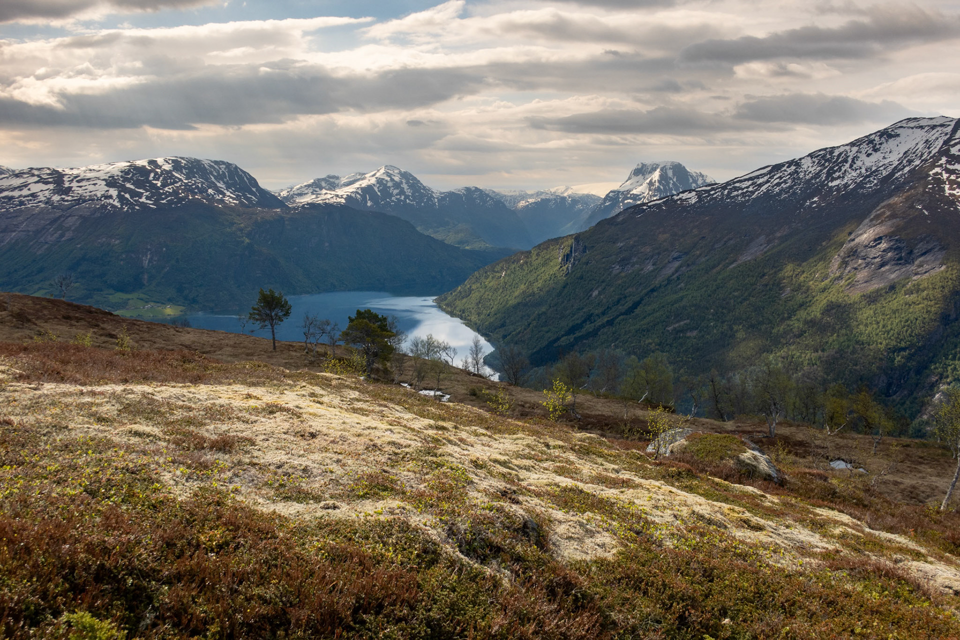Breimsvatnet