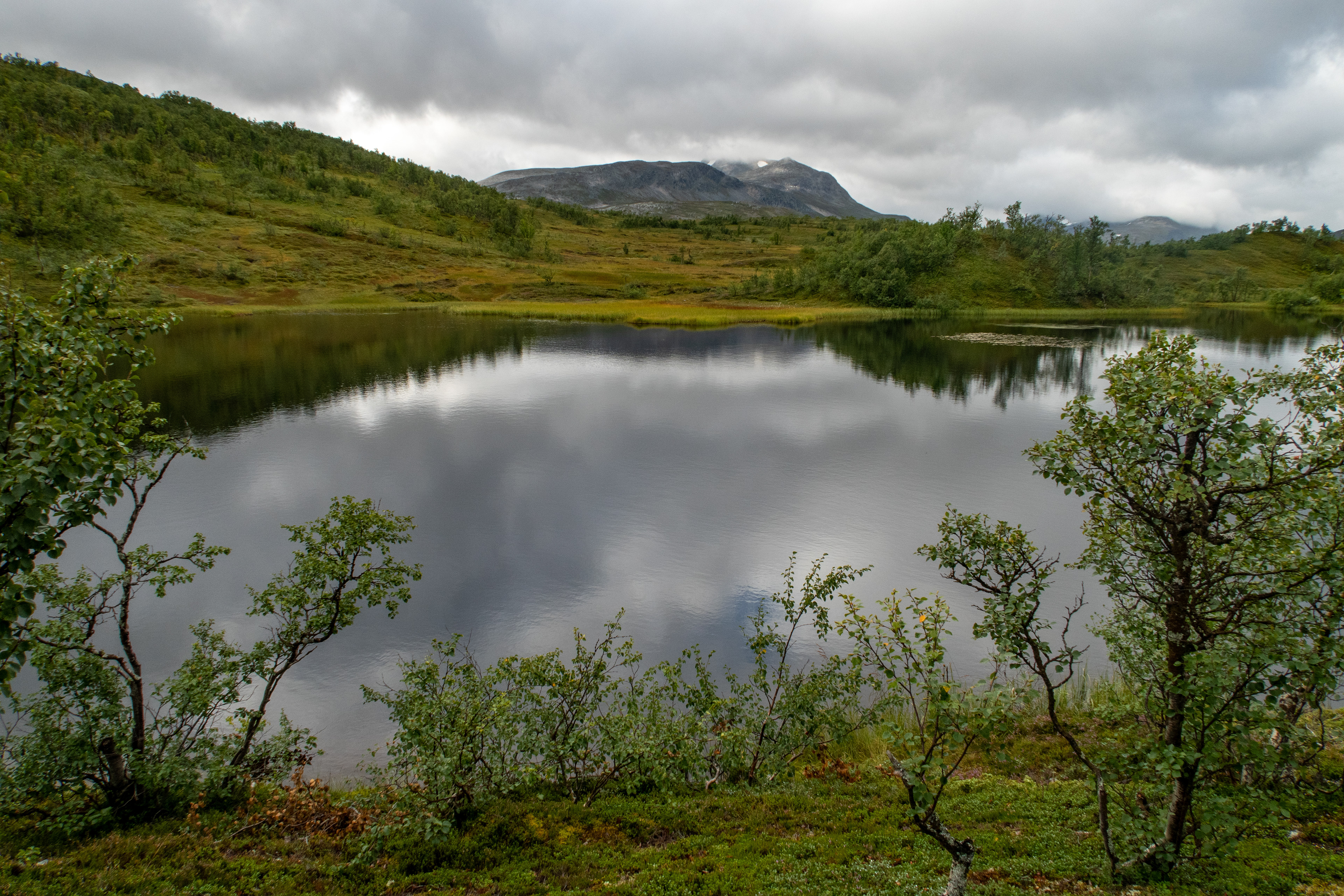Ved Jøldalshytta