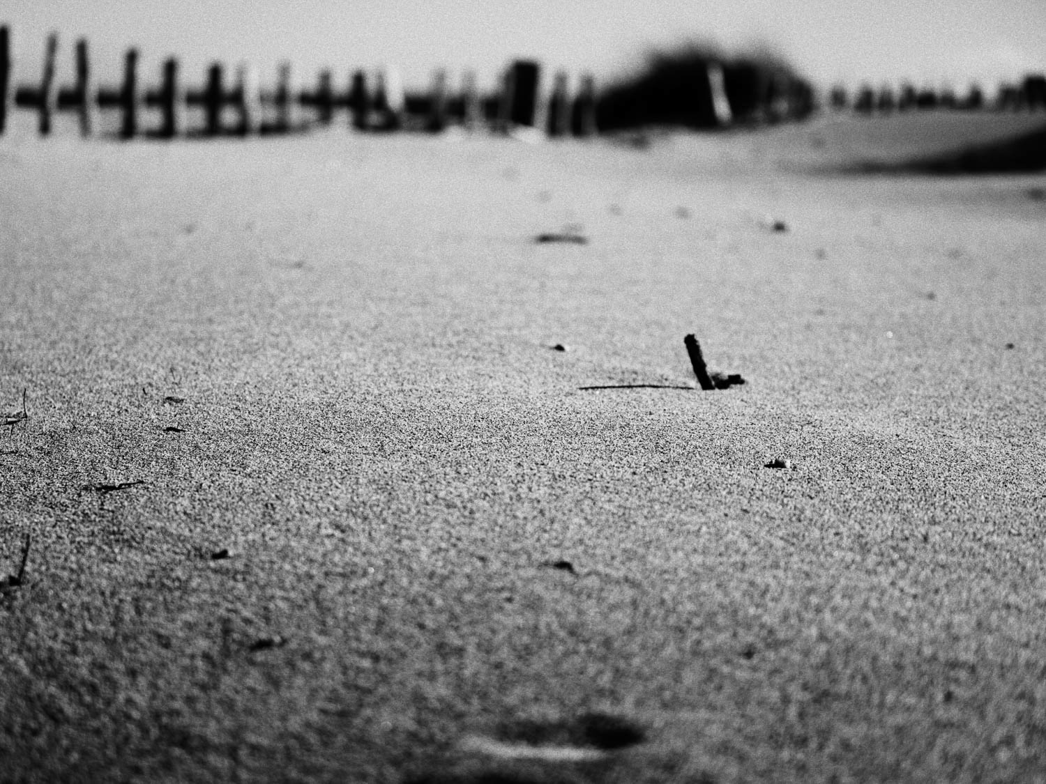 #2 On the beach Tirage 30 X 40 Encre Piezographie Hahnemühle Photo Rag Baryta