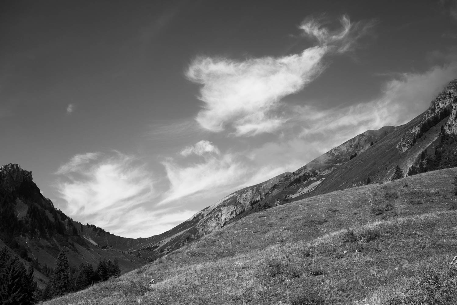 Alpes Val d'Abondance @ 2022