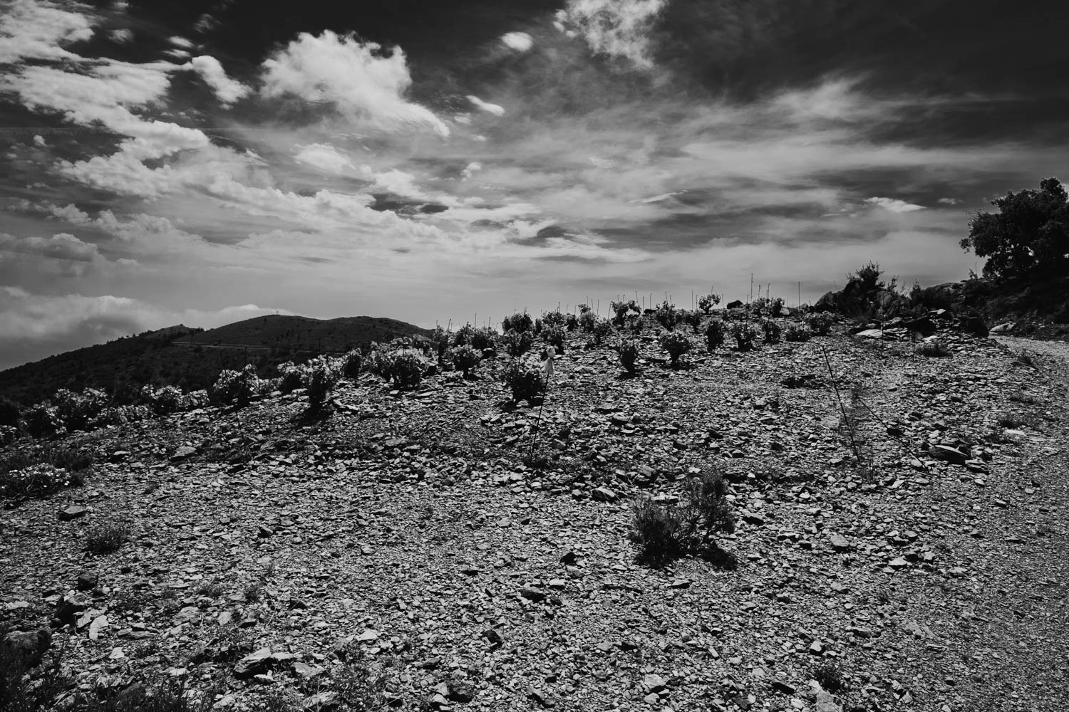 Tirage 30 X 45 Piezographie Hahnemühle photo rag baryta - Corbières @ 2016