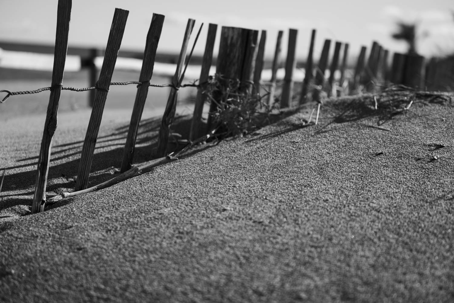 Tirage 30 X 45 Piezographie Hahnemühle photo rag baryta