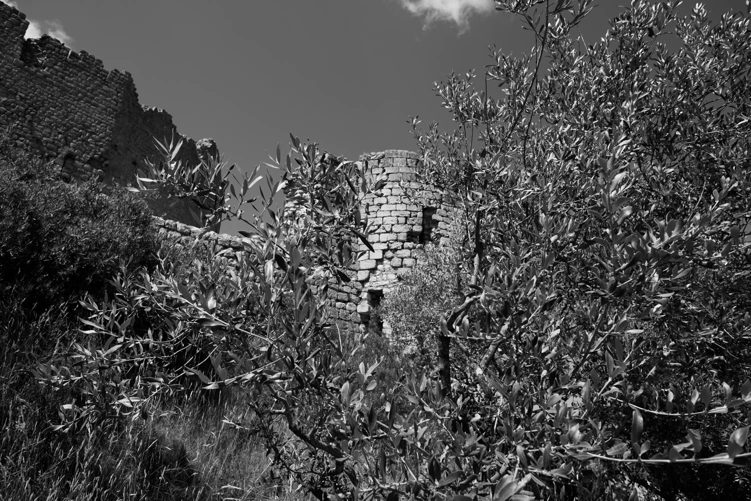 Chateau d'Aguilar @ 2022