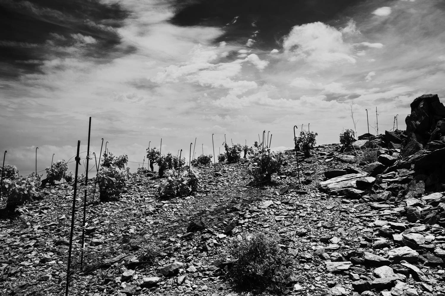 Tirage 30 X 45 Piezographie Hahnemühle photo rag baryta - Corbières @ 2016