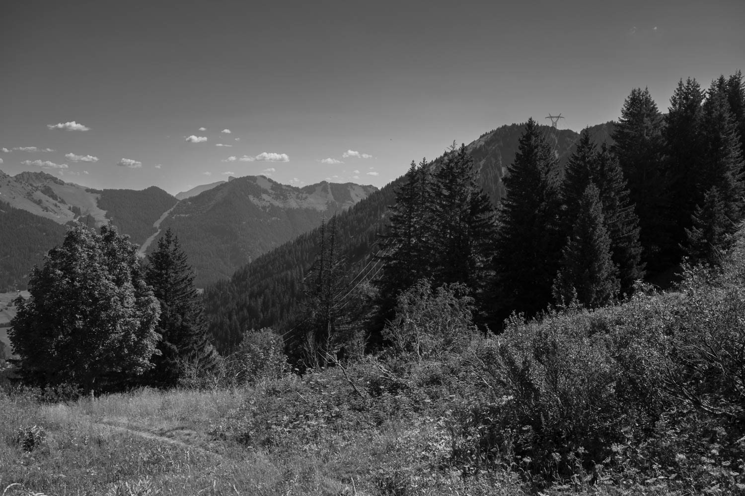 Alpes Val d'Abondance @ 2022