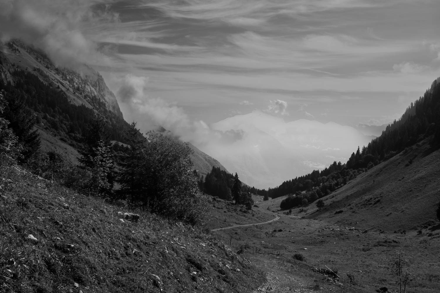 Alpes Val d'Abondance @ 2022