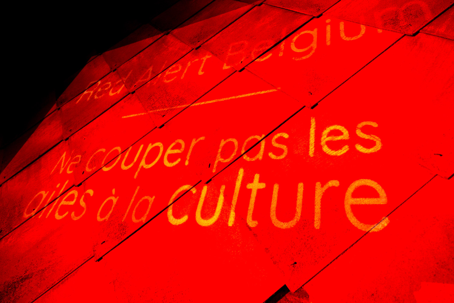 No Culture No Future