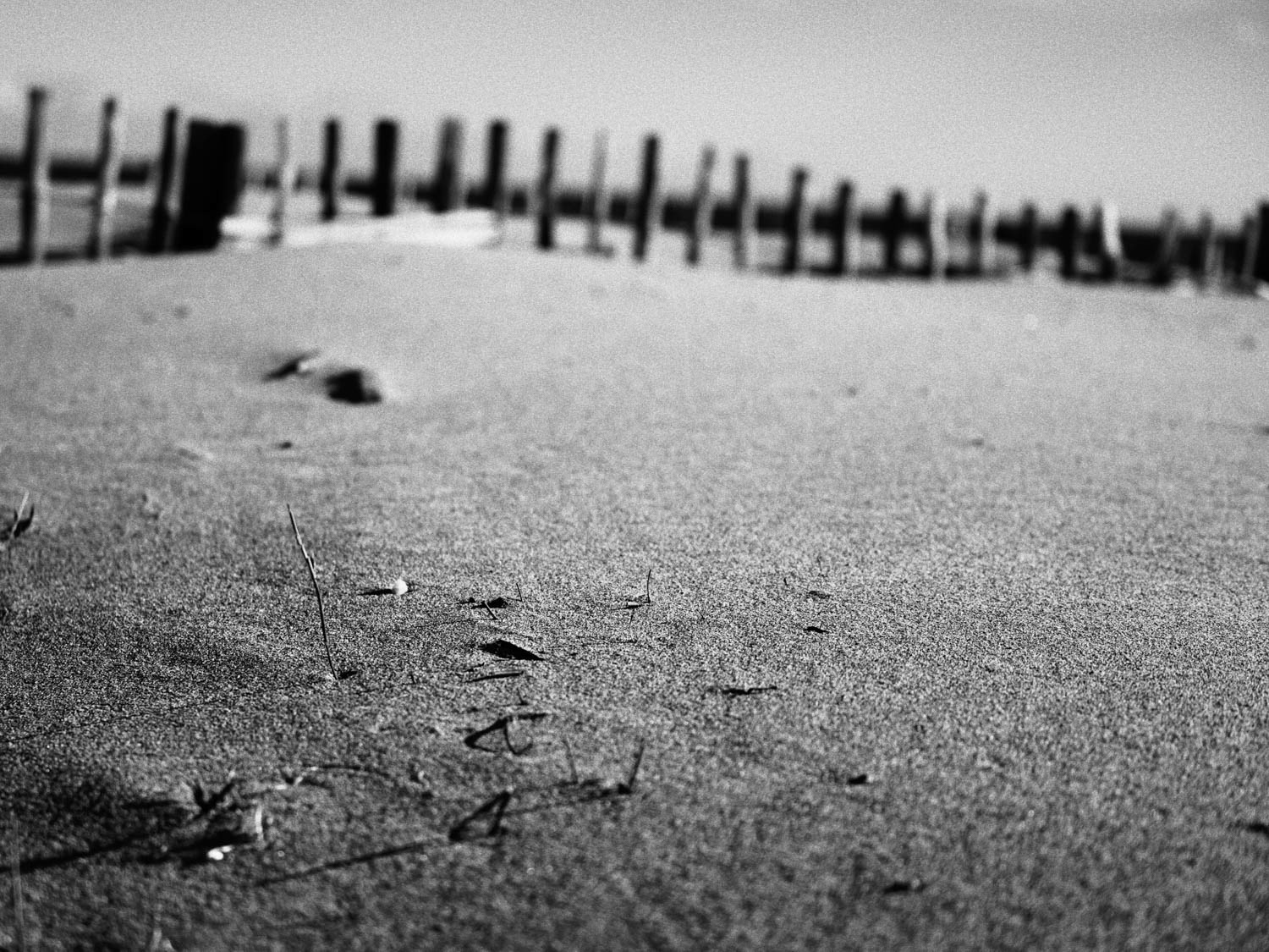 #3 On the beach Tirage 30 X 40 Encre Piezographie Hahnemühle Photo Rag Baryta