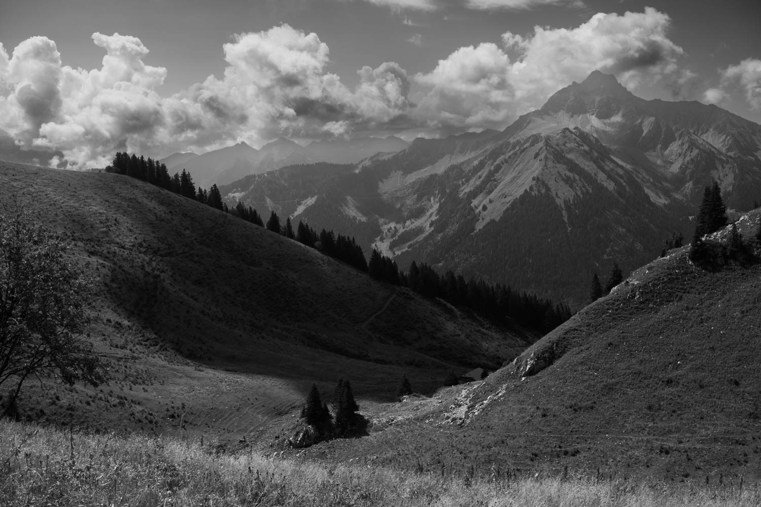 Alpes Val d'Abondance @ 2022