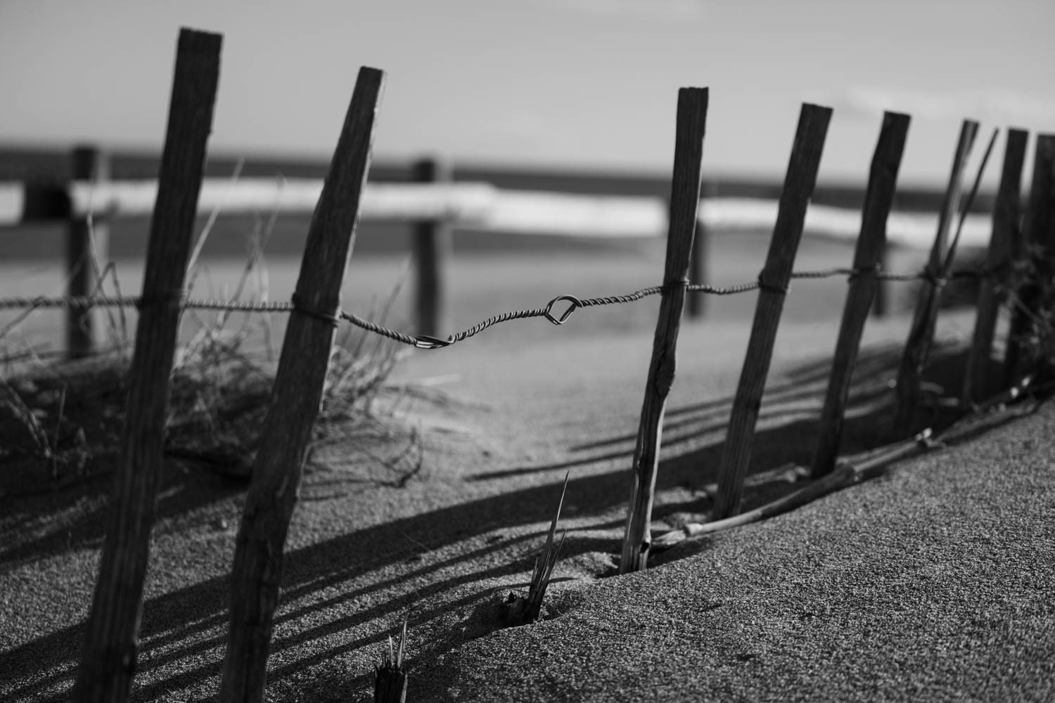 Tirage 30 X 45 Piezographie Hahnemühle photo rag baryta