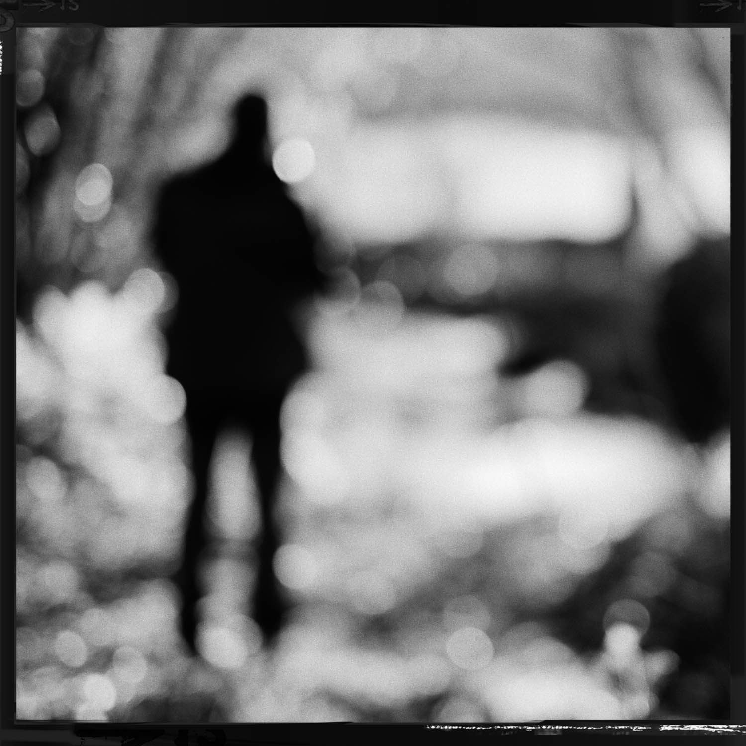 #3 Friends Tirage 40 X 40 Hahnemühle Photo Rag Baryta