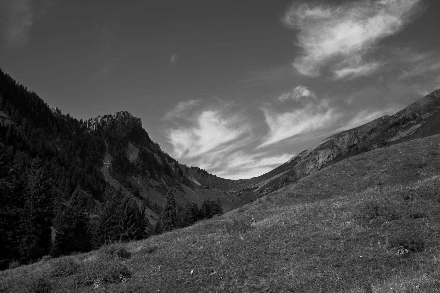 Alpes Val d'Abondance @ 2022