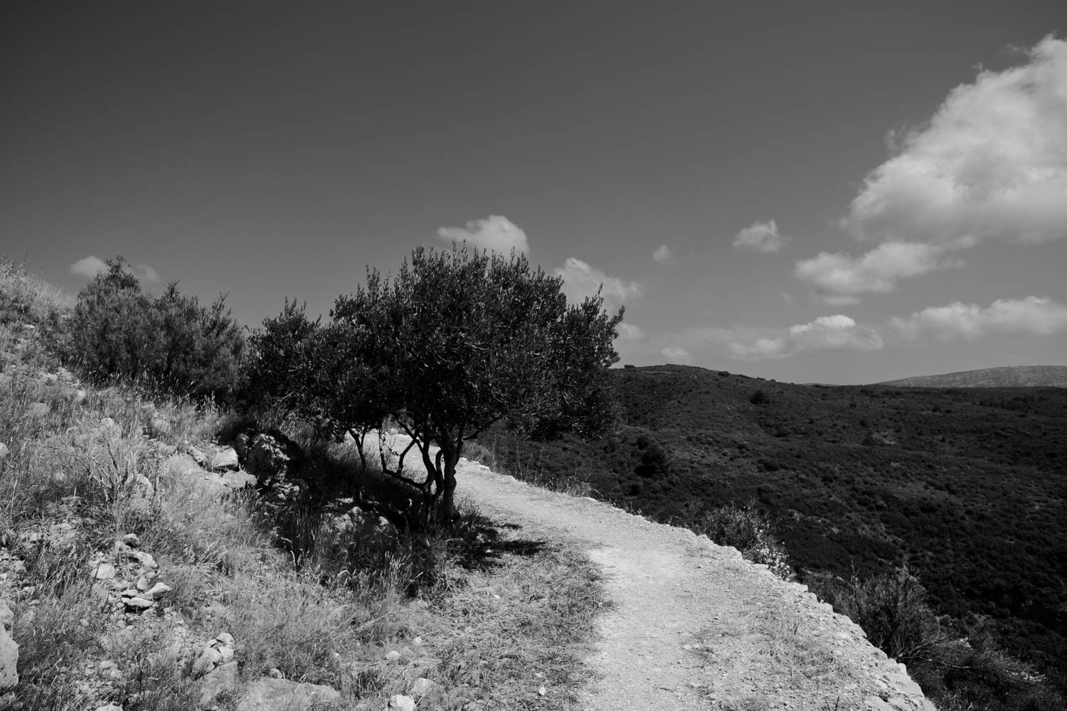 Chateau d'Aguilar @ 2022