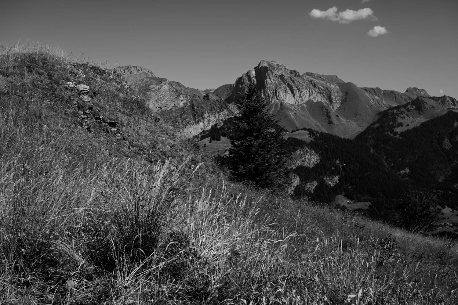 Alpes Val d'Abondance @ 2022