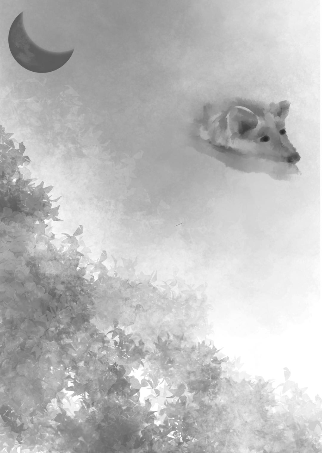 This the back cover designed for "Salvage the Bones"