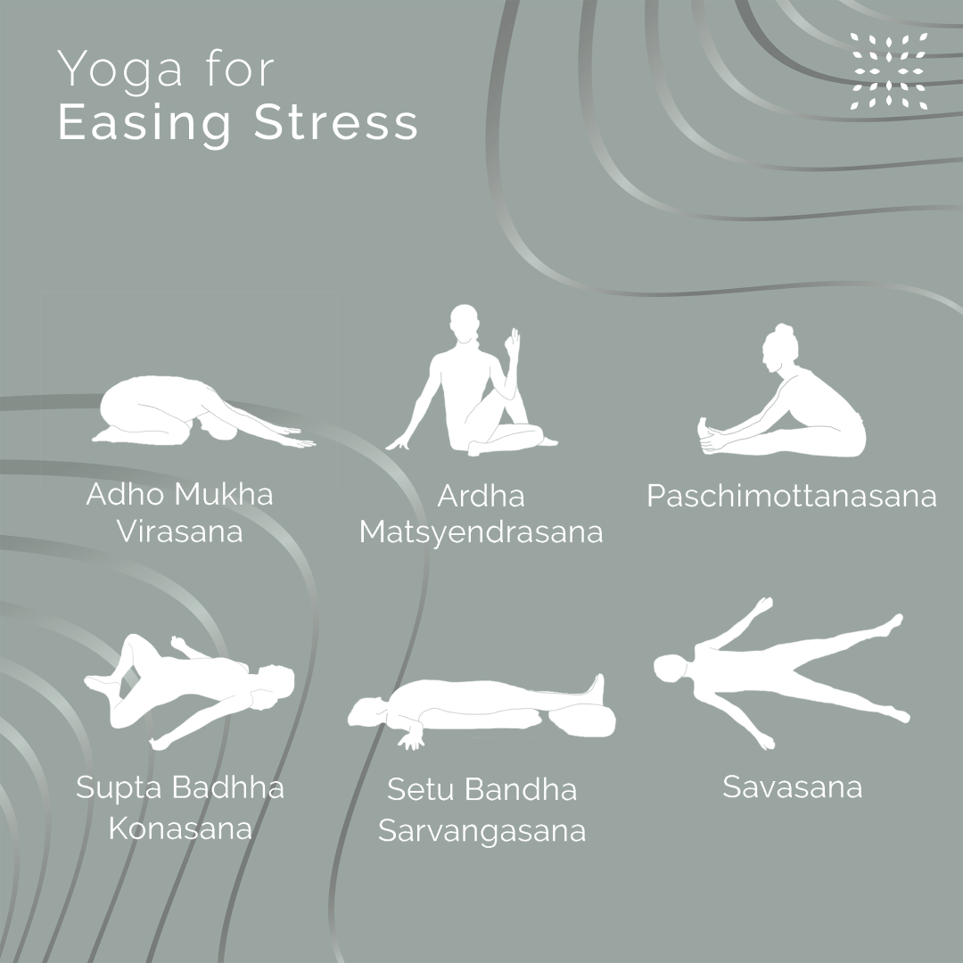 Revised Wellness Graphic