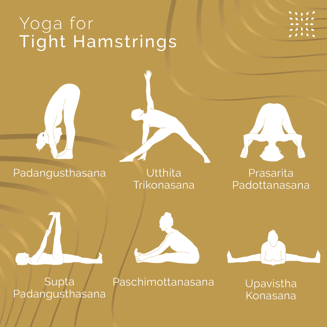 Revised Wellness Graphic