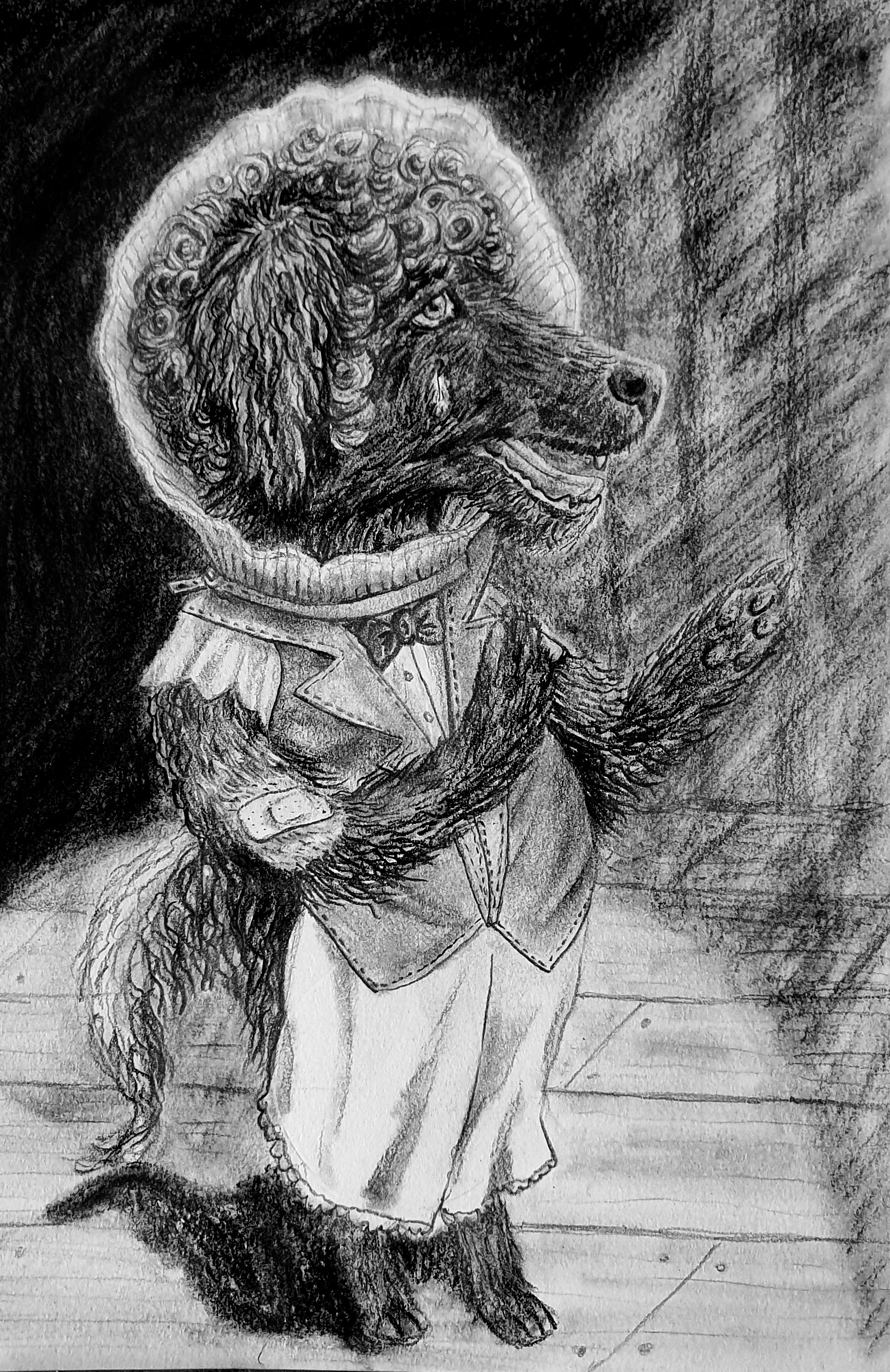 The Cone of Shame - a musical