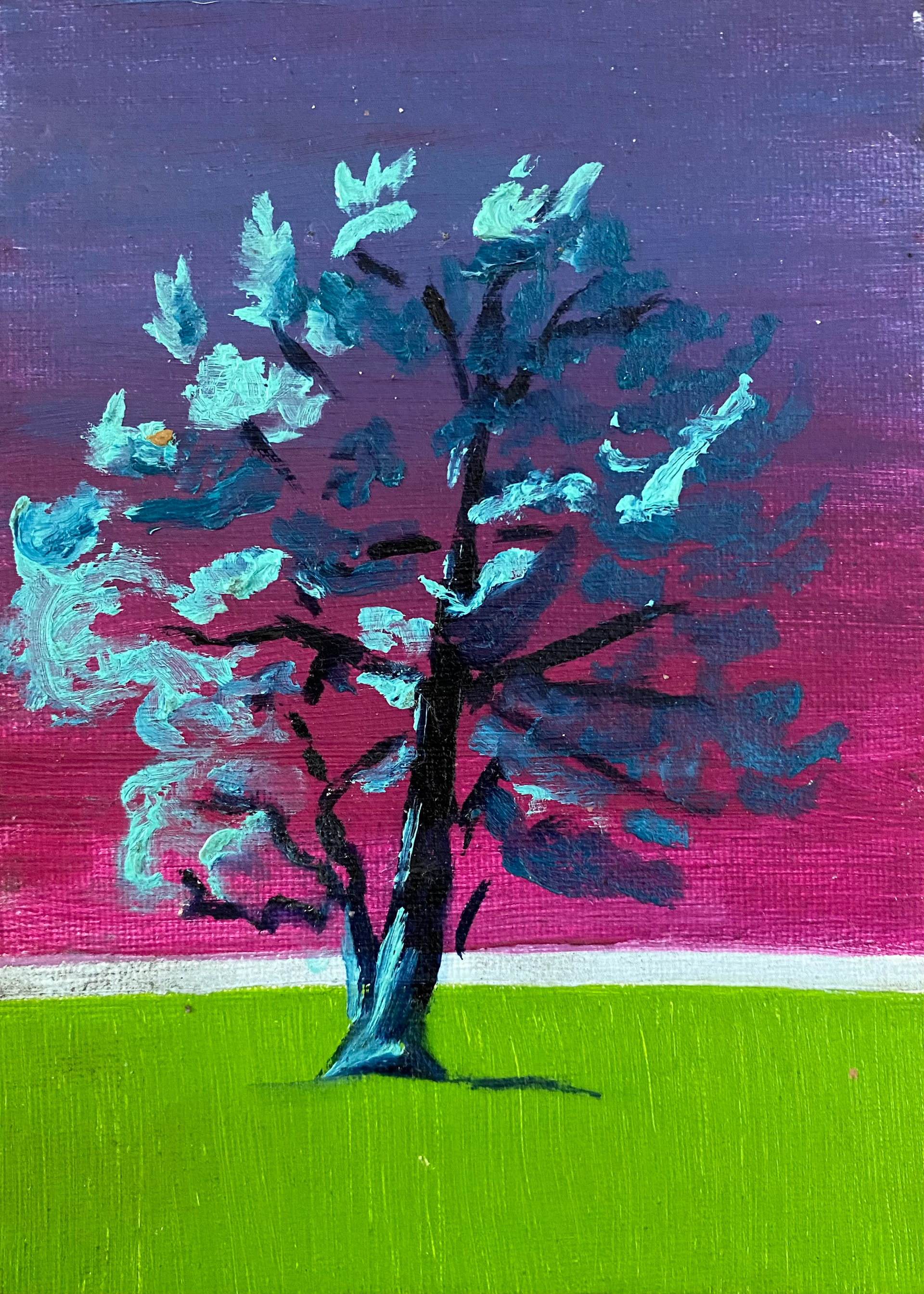 The Tree Across the Street, Hayward