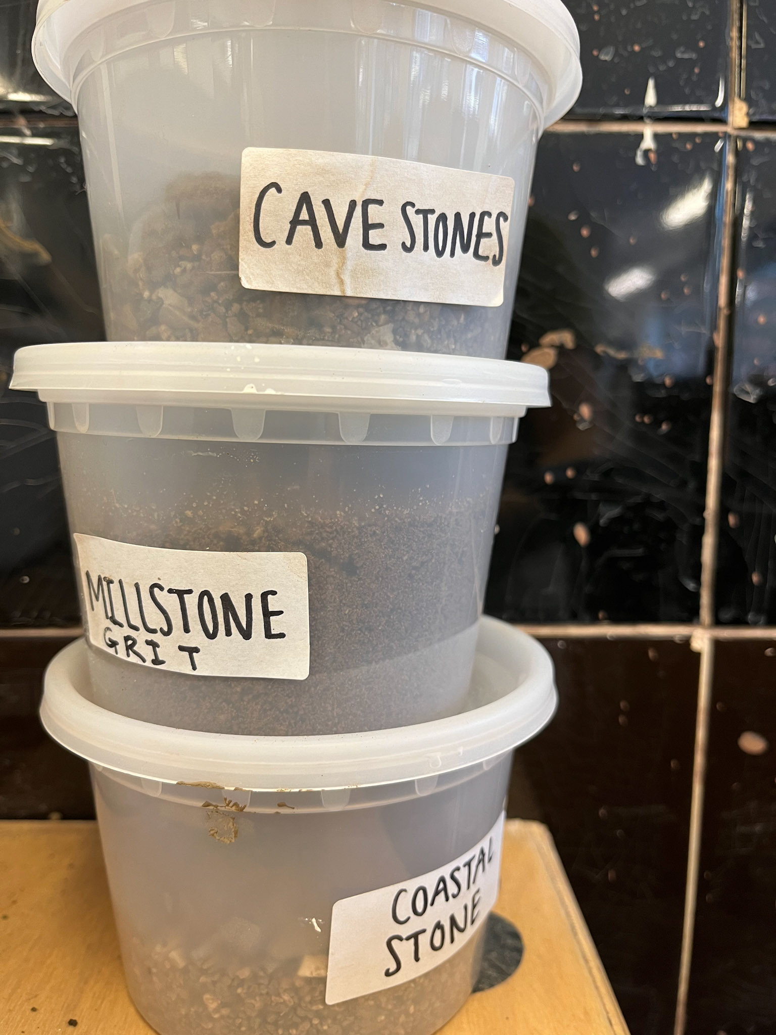 All the stones/grit collected