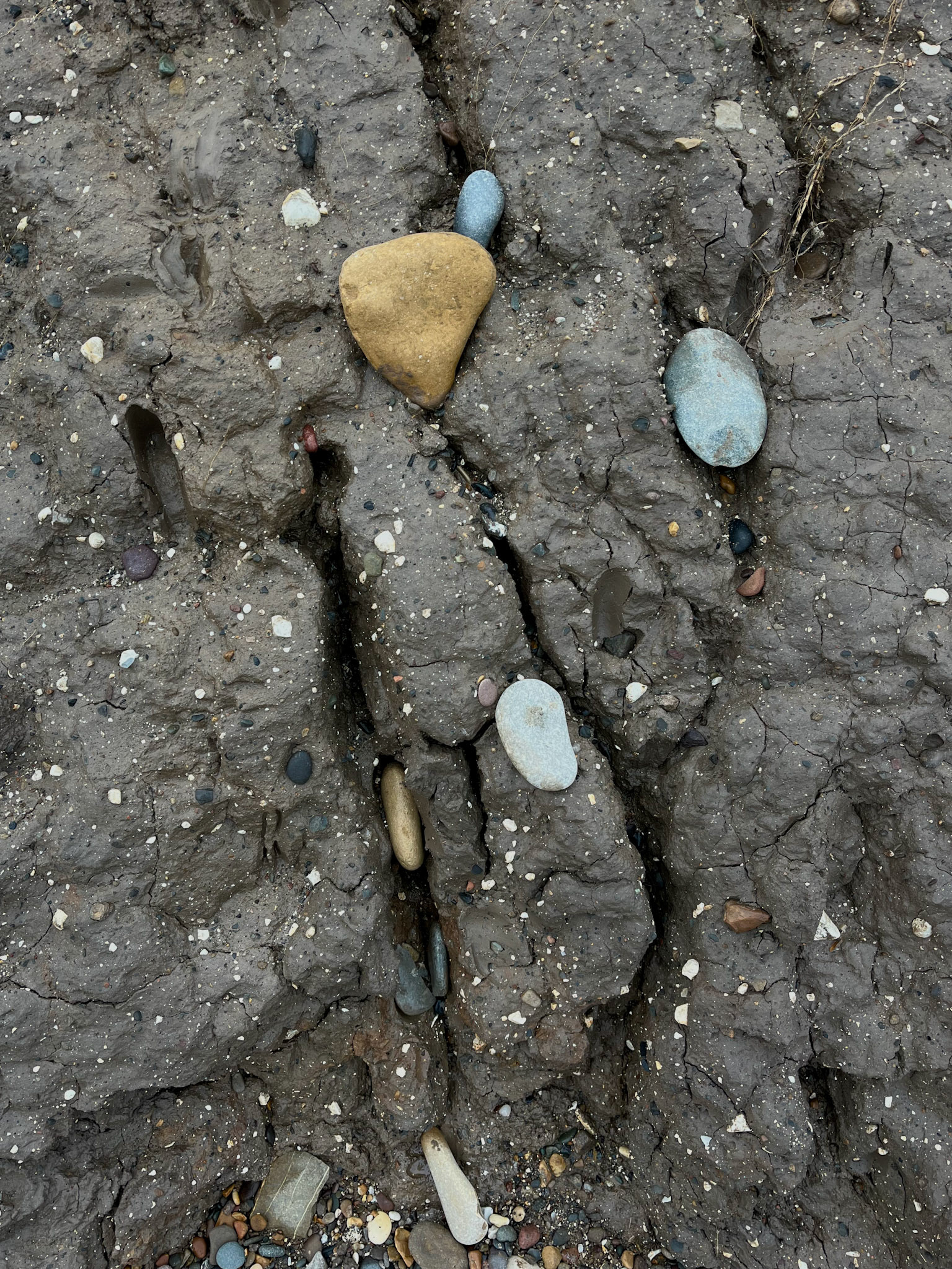 My photo from the Holderness Coast