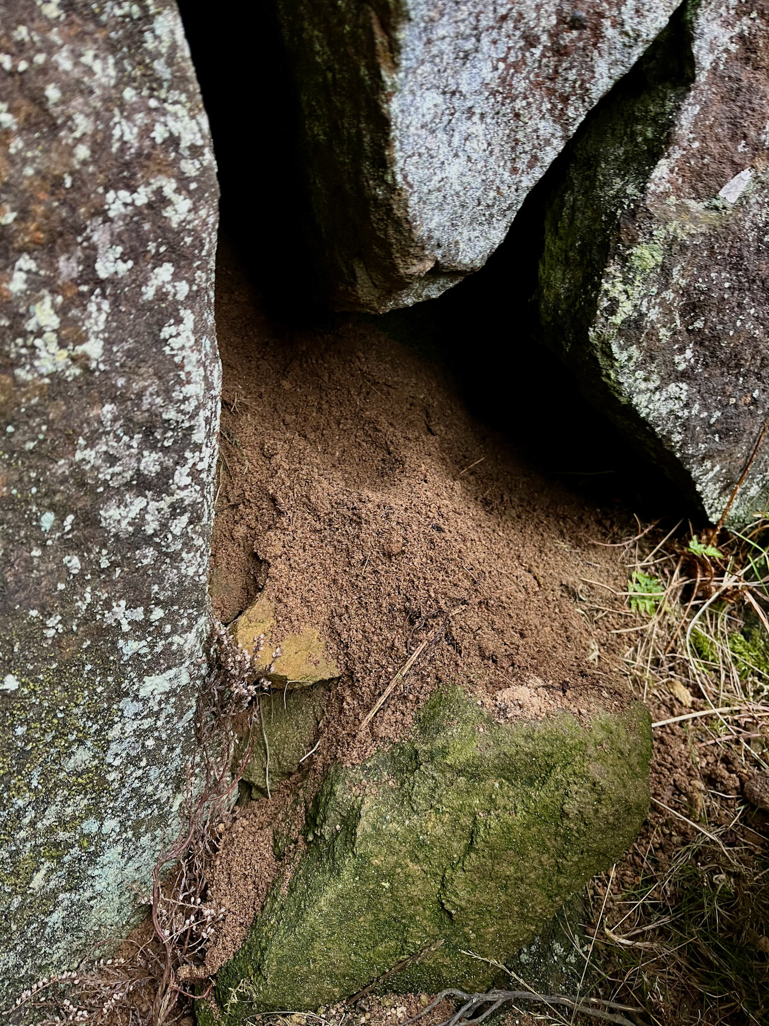 Gritstone from Peak District
