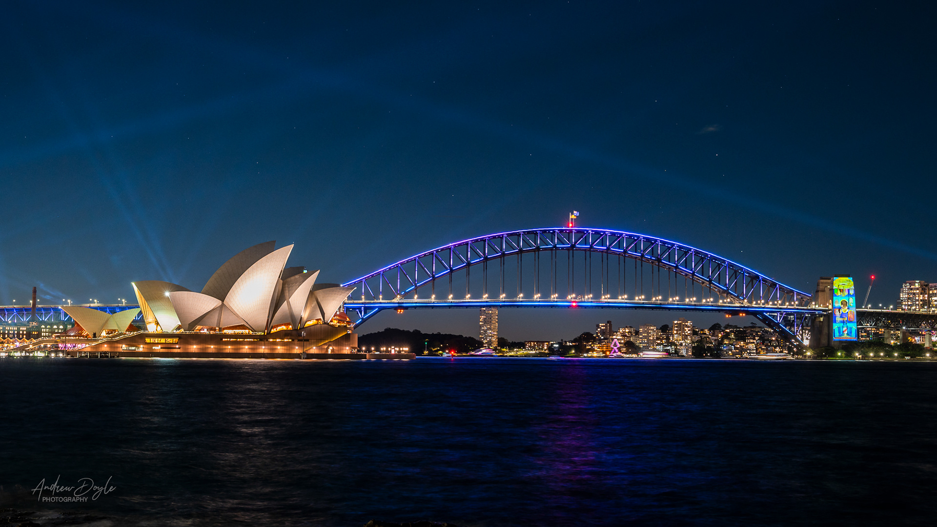 Vivid 2025