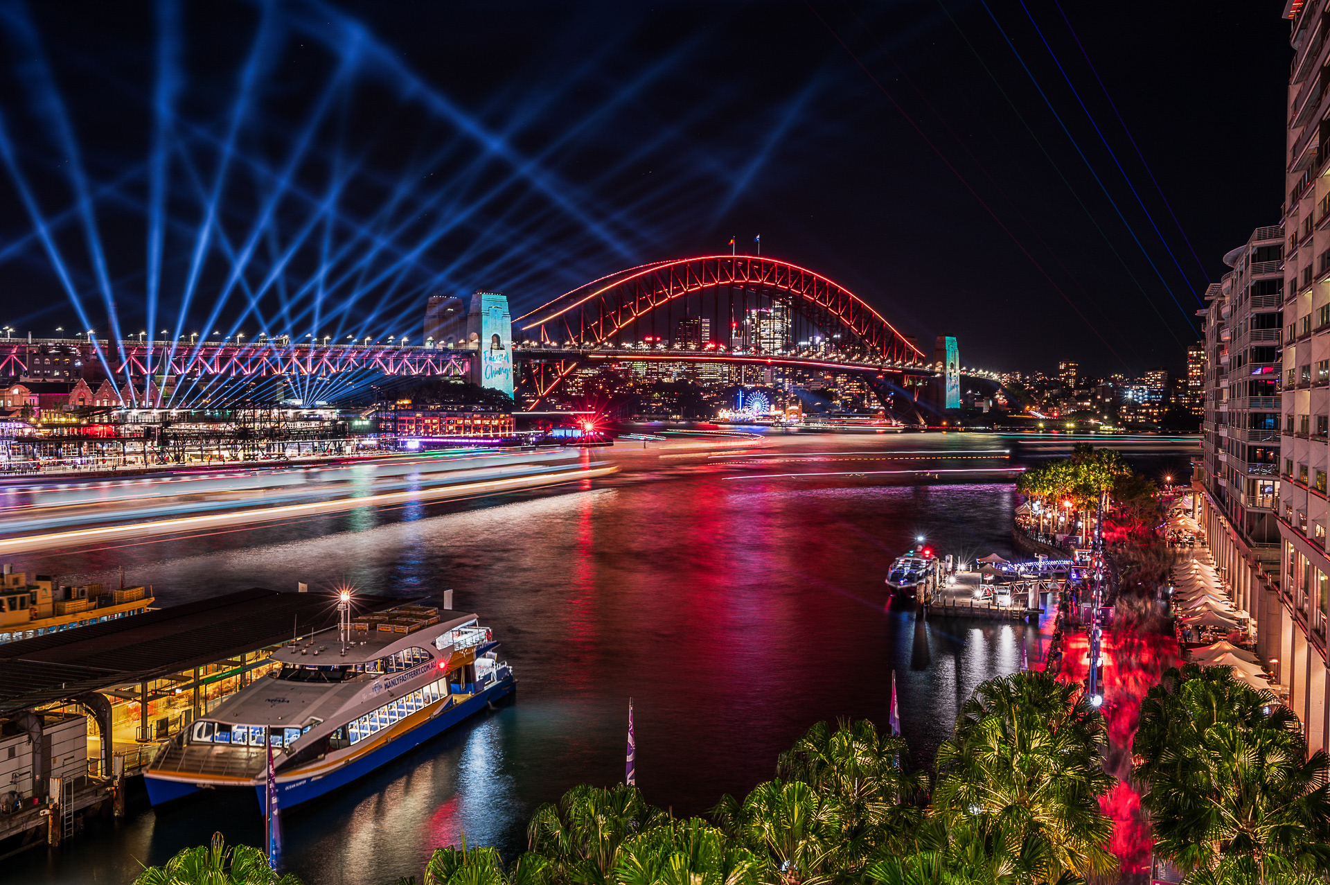 Vivid 2024