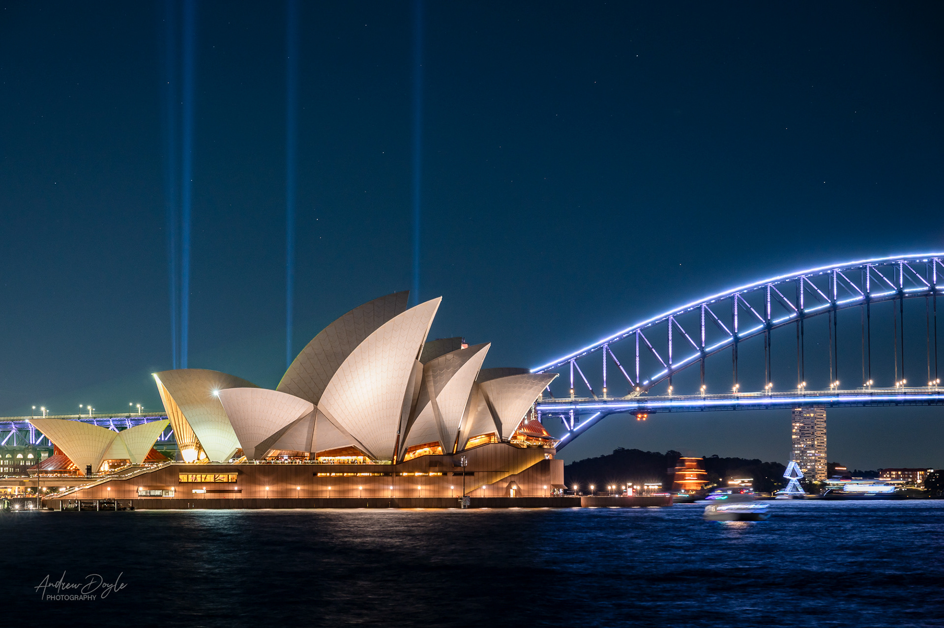 Vivid 2025