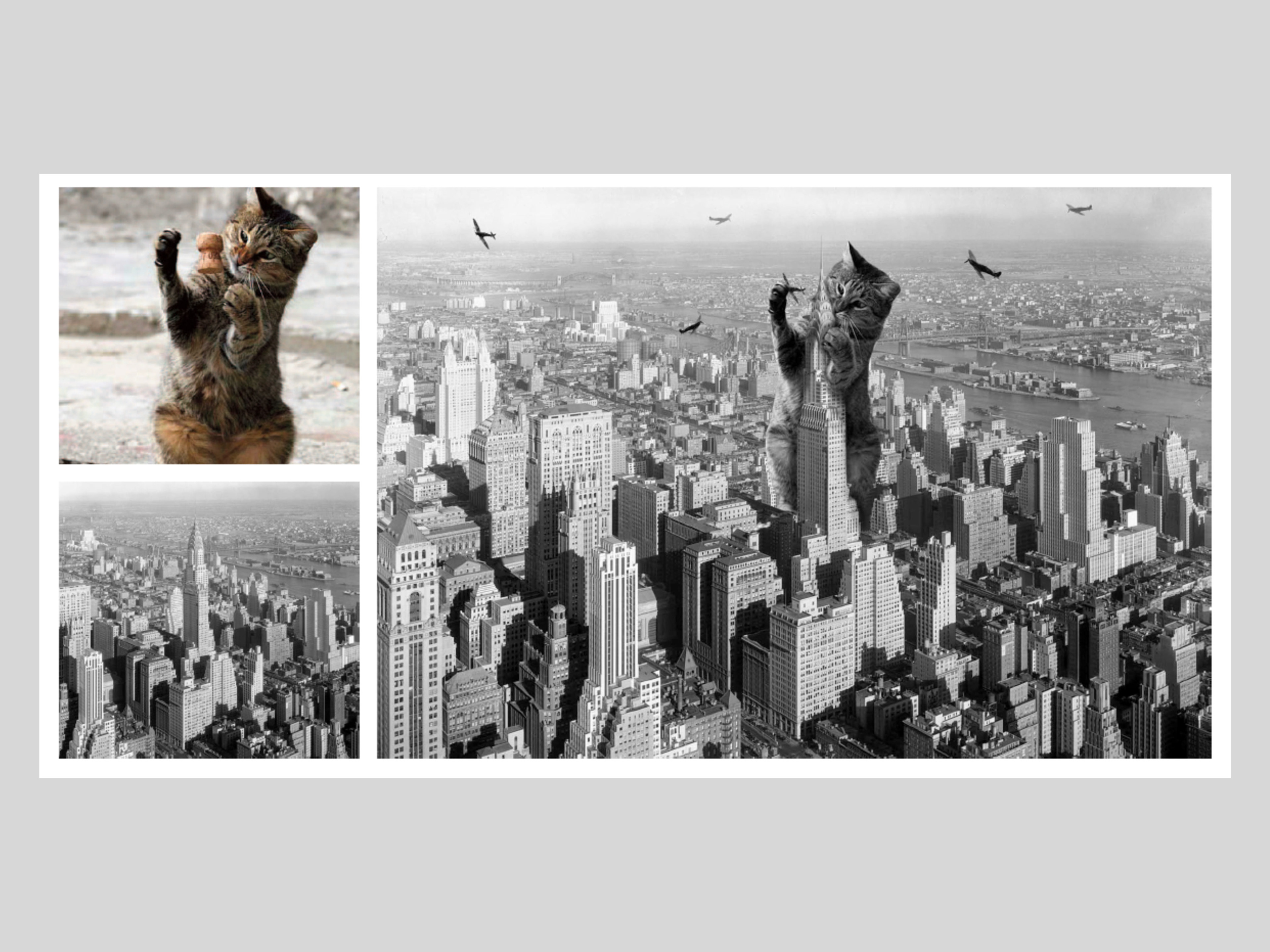 A small photoshop project/idea.