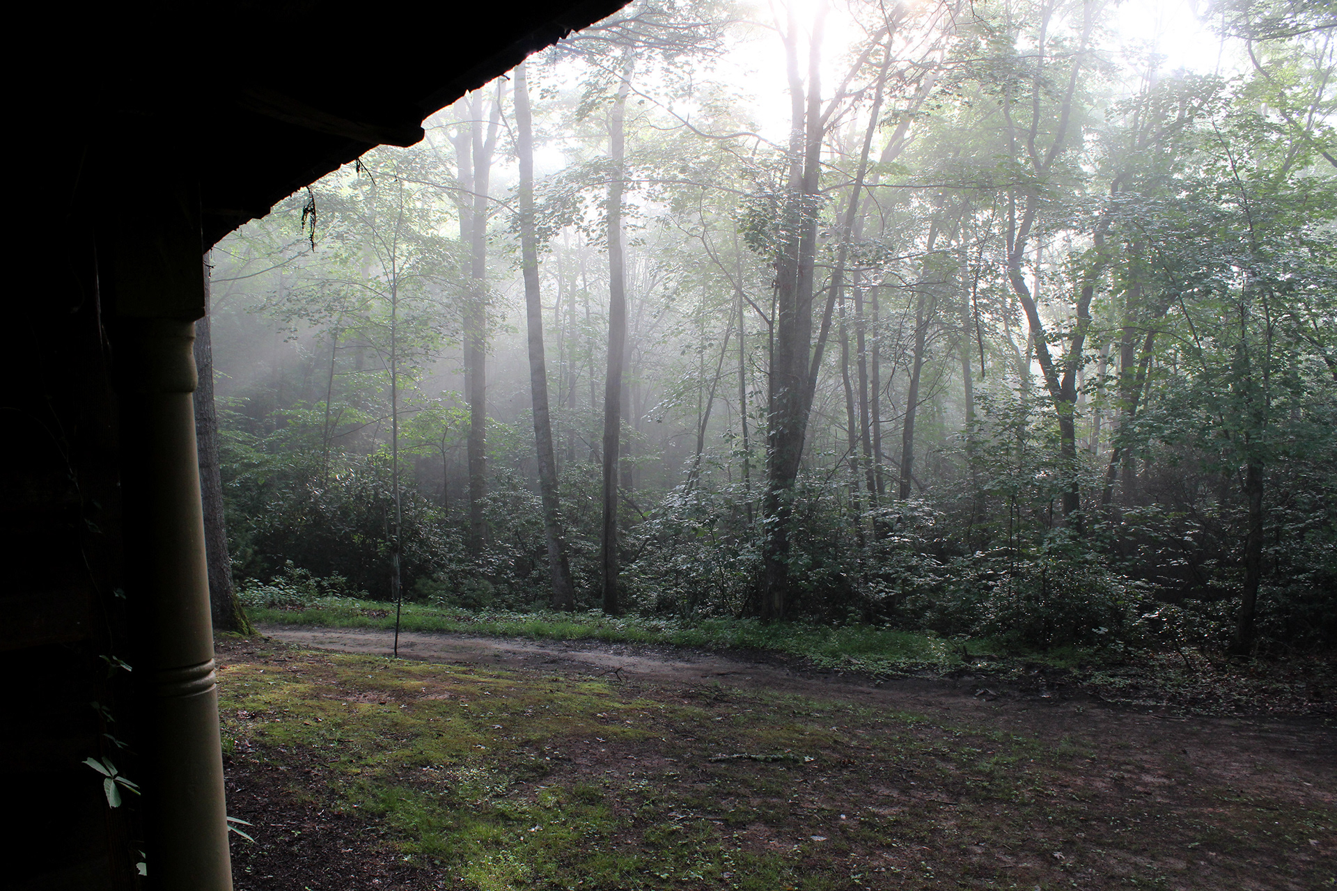 "i miss these morning views / the light passing through the trees / the morning dew", digital, 2015–2021 A.D.